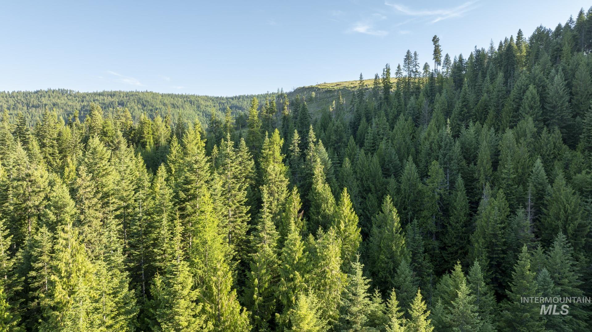 7362 S Dicks Creek Rd, Kendrick, Idaho 83537, Land For Sale, Price $289,900,MLS 98990019