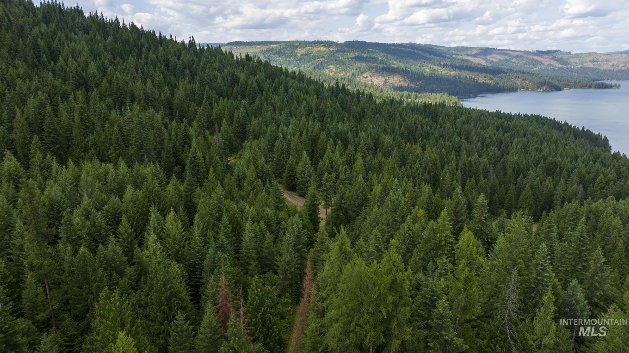 7362 S Dicks Creek Rd, Kendrick, Idaho 83537, Land For Sale, Price $289,900,MLS 98990019