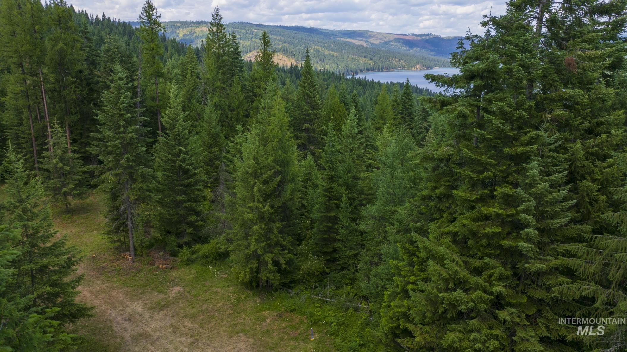 7362 S Dicks Creek Rd, Kendrick, Idaho 83537, Land For Sale, Price $289,900,MLS 98990019