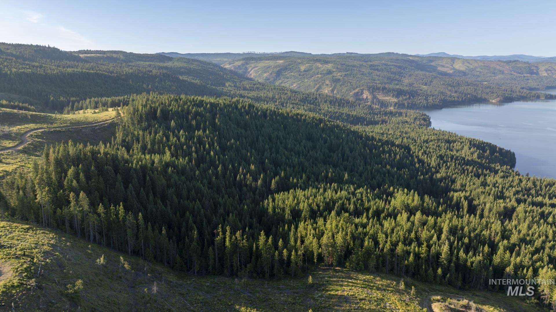 7362 S Dicks Creek Rd, Kendrick, Idaho 83537, Land For Sale, Price $289,900,MLS 98990019