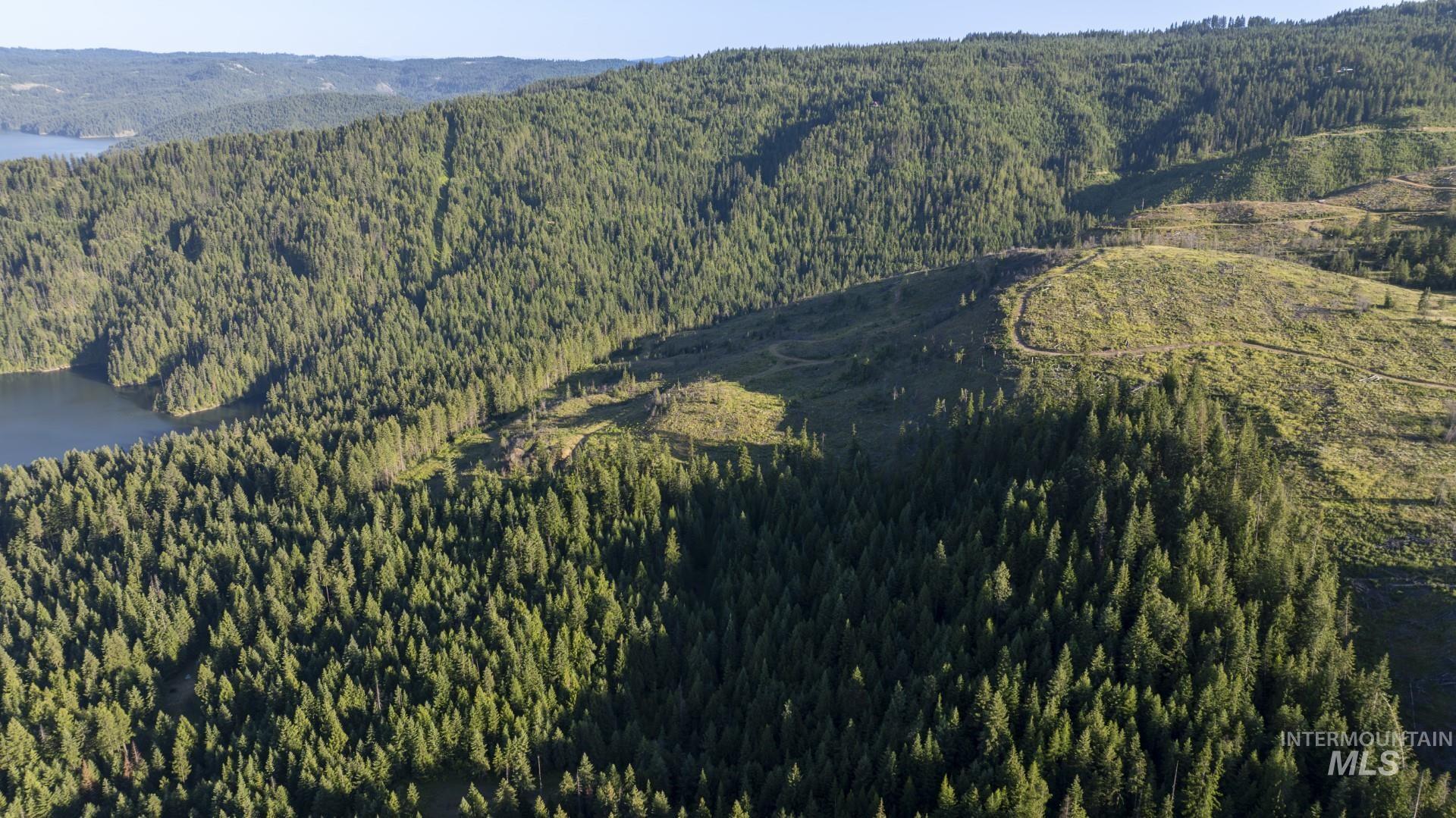7362 S Dicks Creek Rd, Kendrick, Idaho 83537, Land For Sale, Price $289,900,MLS 98990019