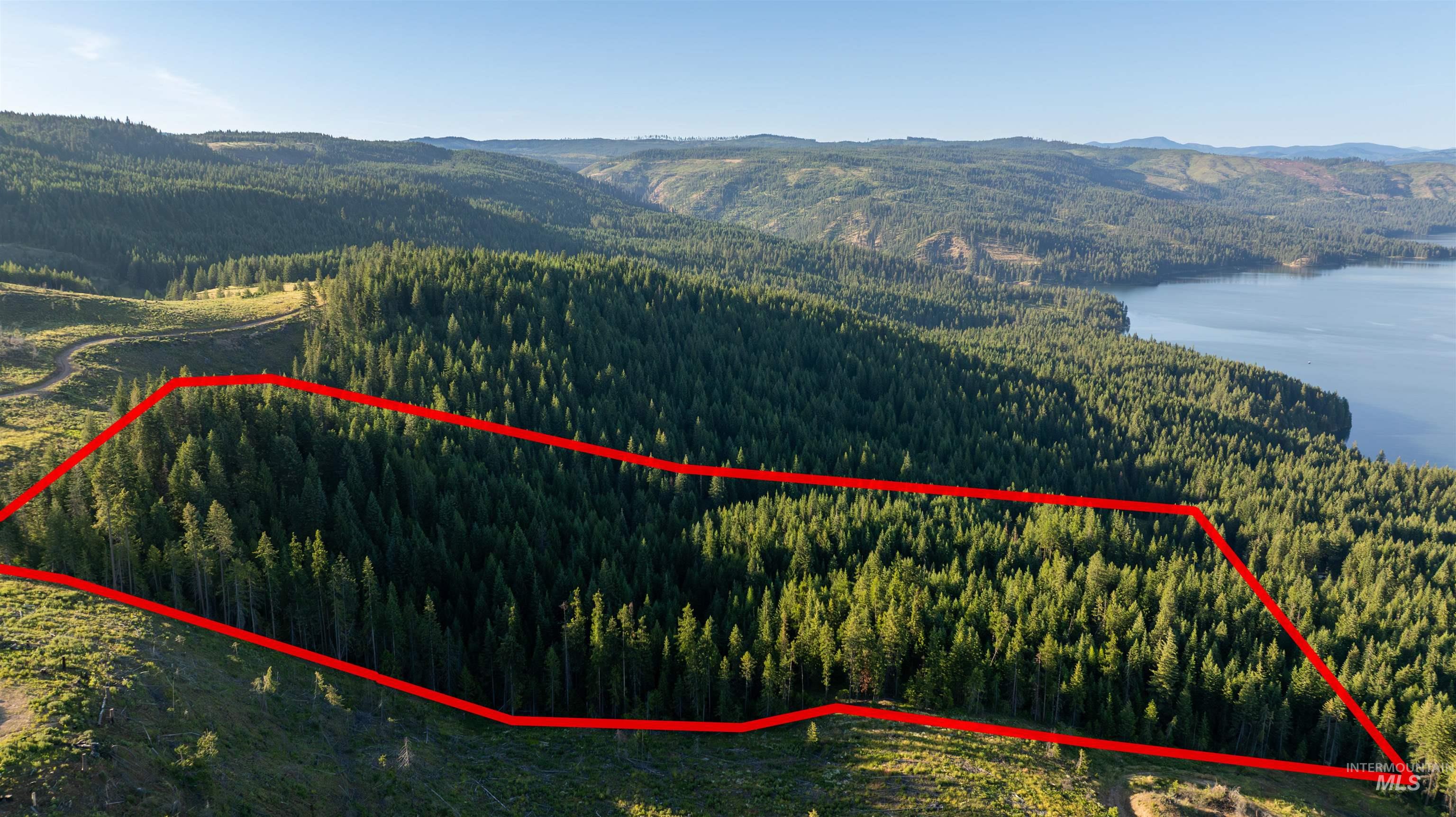 7362 S Dicks Creek Rd, Kendrick, Idaho 83537, Land For Sale, Price $289,900,MLS 98990019