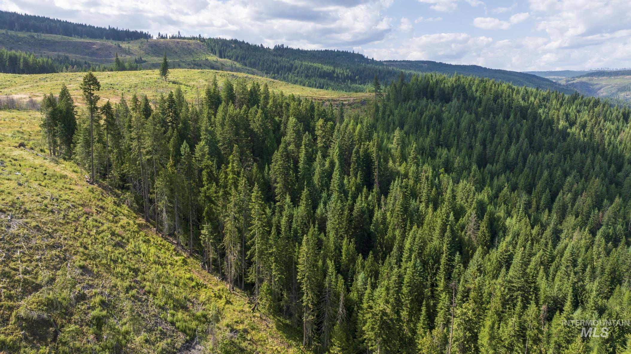 7362 S Dicks Creek Rd, Kendrick, Idaho 83537, Land For Sale, Price $289,900,MLS 98990019