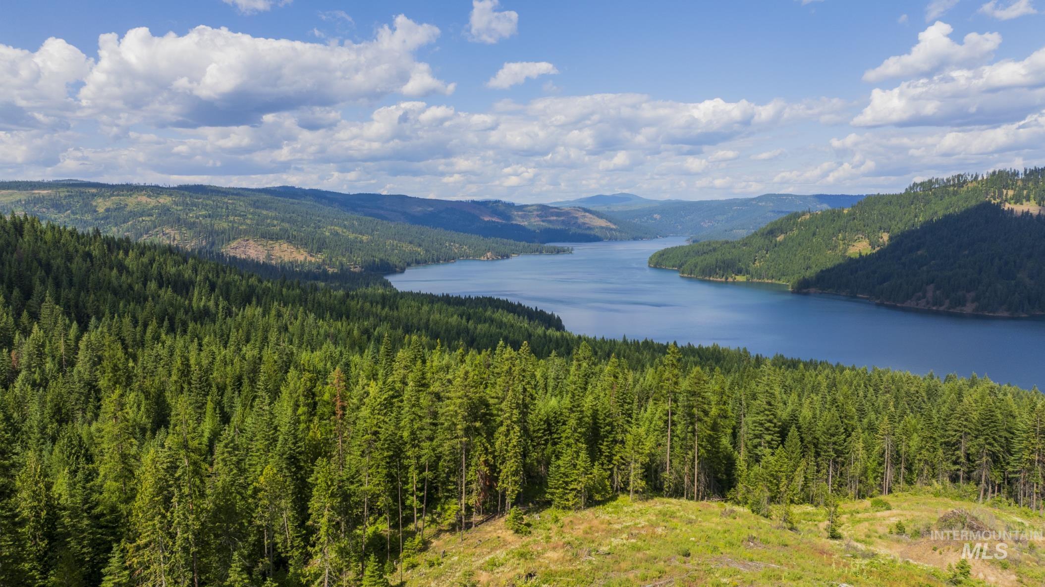 7362 S Dicks Creek Rd, Kendrick, Idaho 83537, Land For Sale, Price $289,900,MLS 98990019