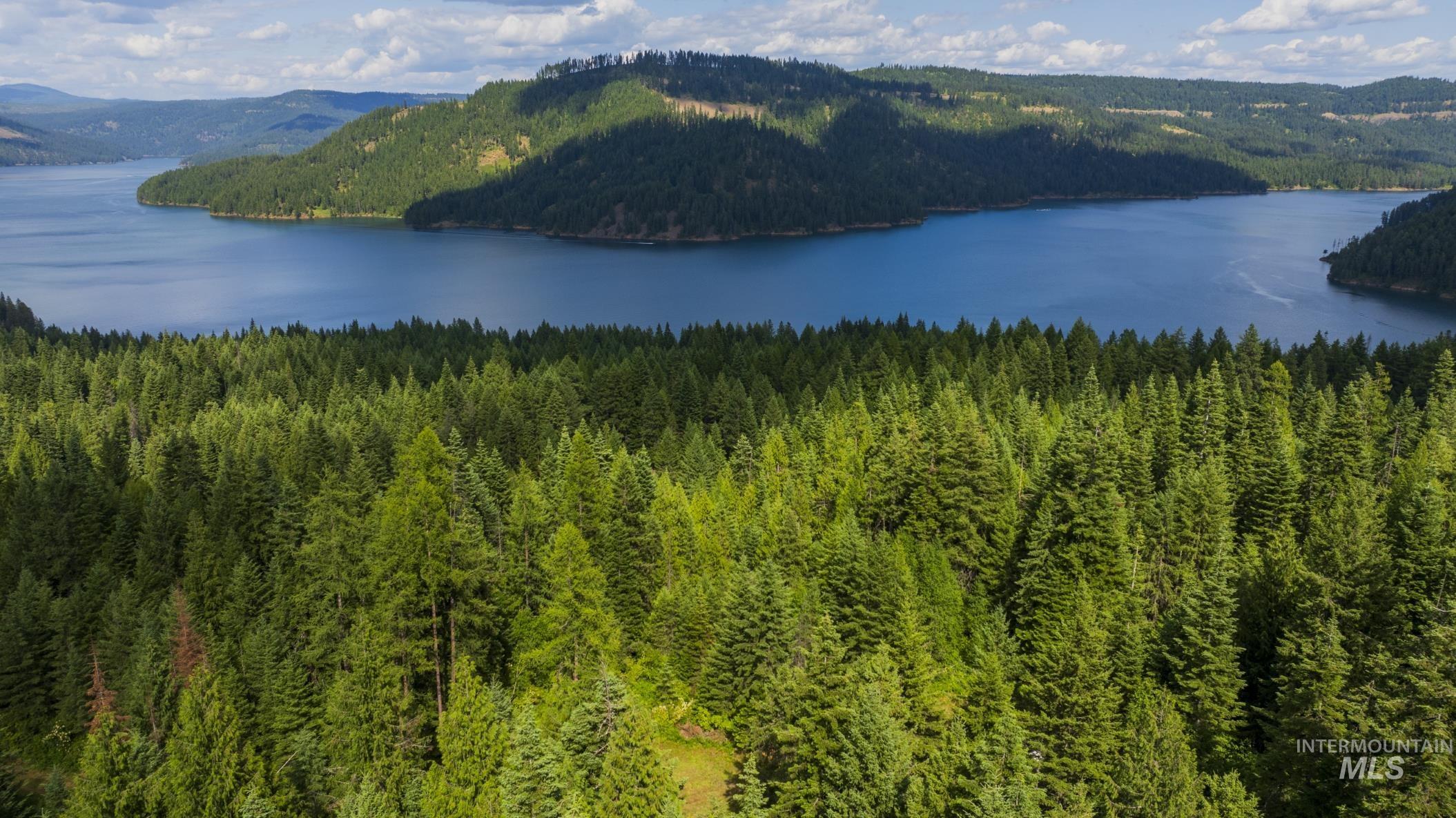 7362 S Dicks Creek Rd, Kendrick, Idaho 83537, Land For Sale, Price $289,900,MLS 98990019