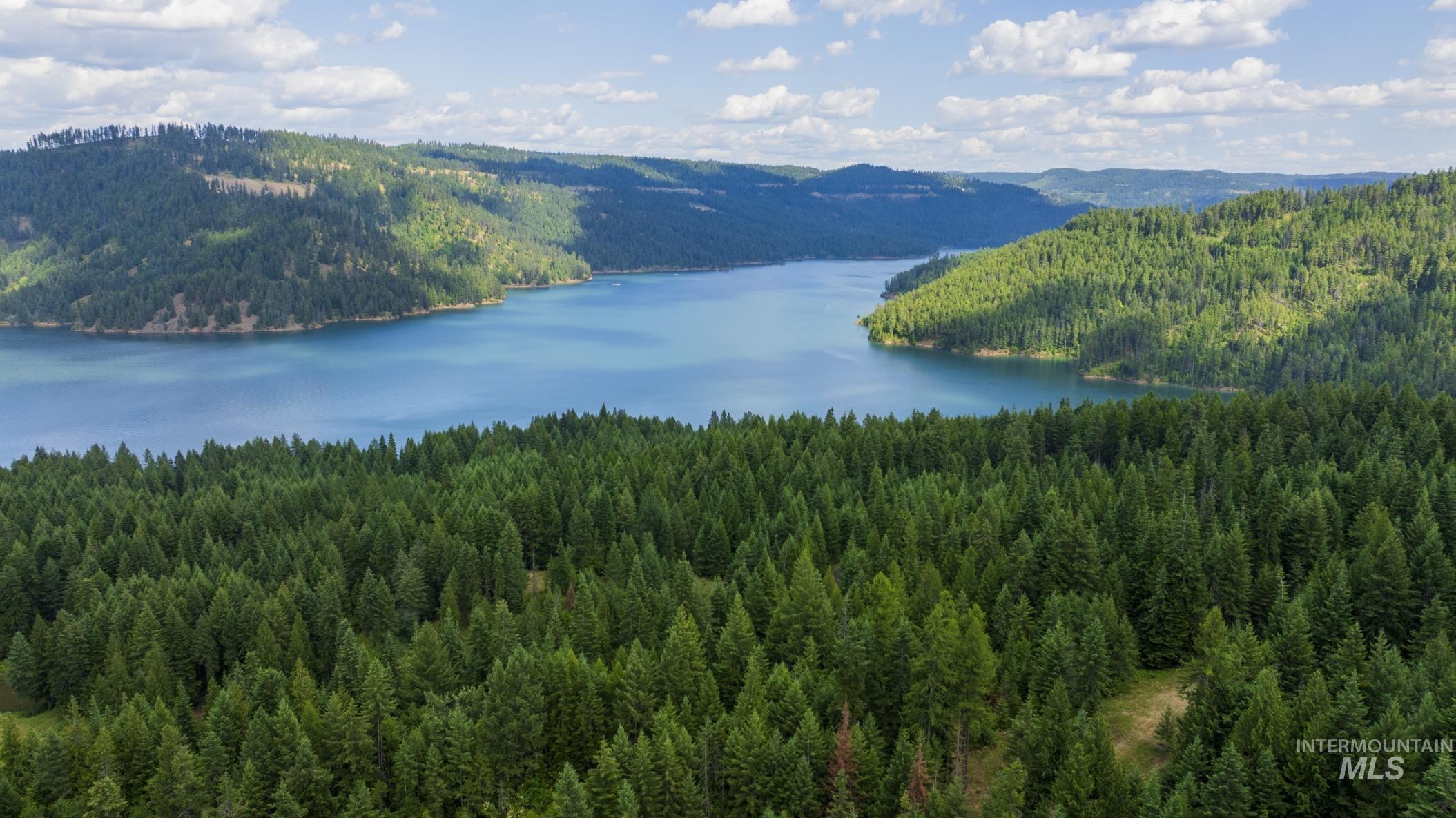 7362 S Dicks Creek Rd, Kendrick, Idaho 83537, Land For Sale, Price $289,900,MLS 98990019