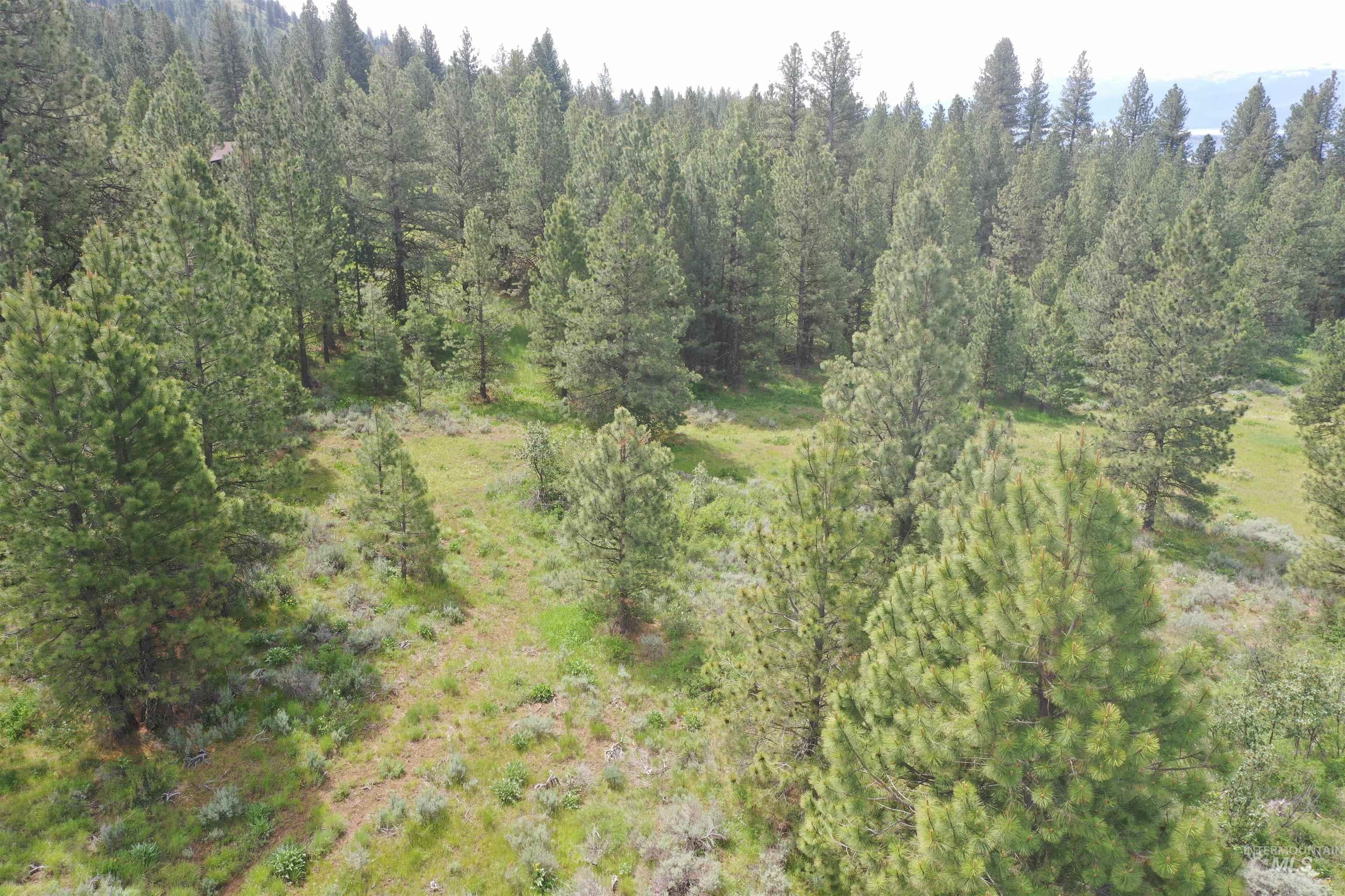 TBD SEUBERT LANE, Donnelly, Idaho 83615, Land For Sale, Price $719,900,MLS 98990086