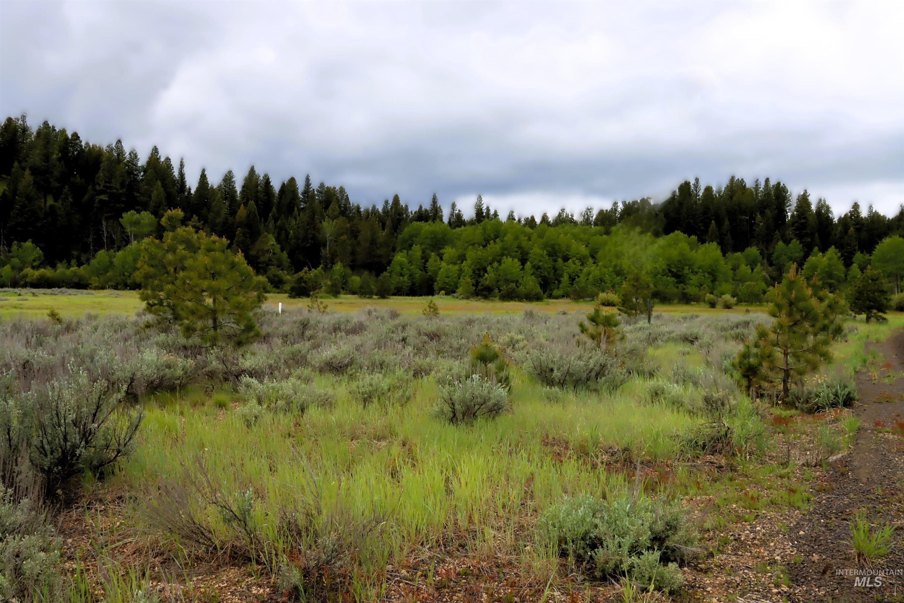 000 Targhee Ct, McCall, Idaho 83638, Land For Sale, Price $198,500,MLS 98990144