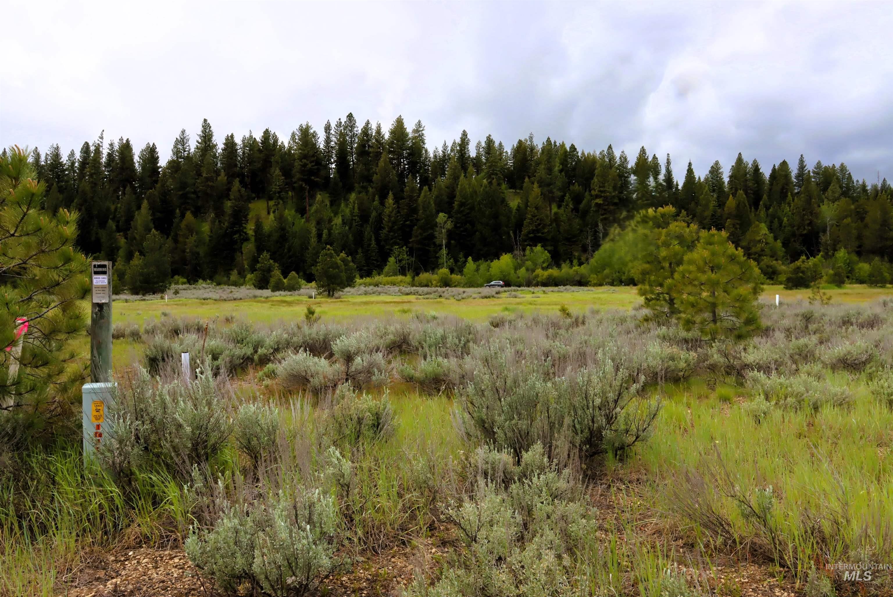 000 Targhee Ct, McCall, Idaho 83638, Land For Sale, Price $198,500,MLS 98990144