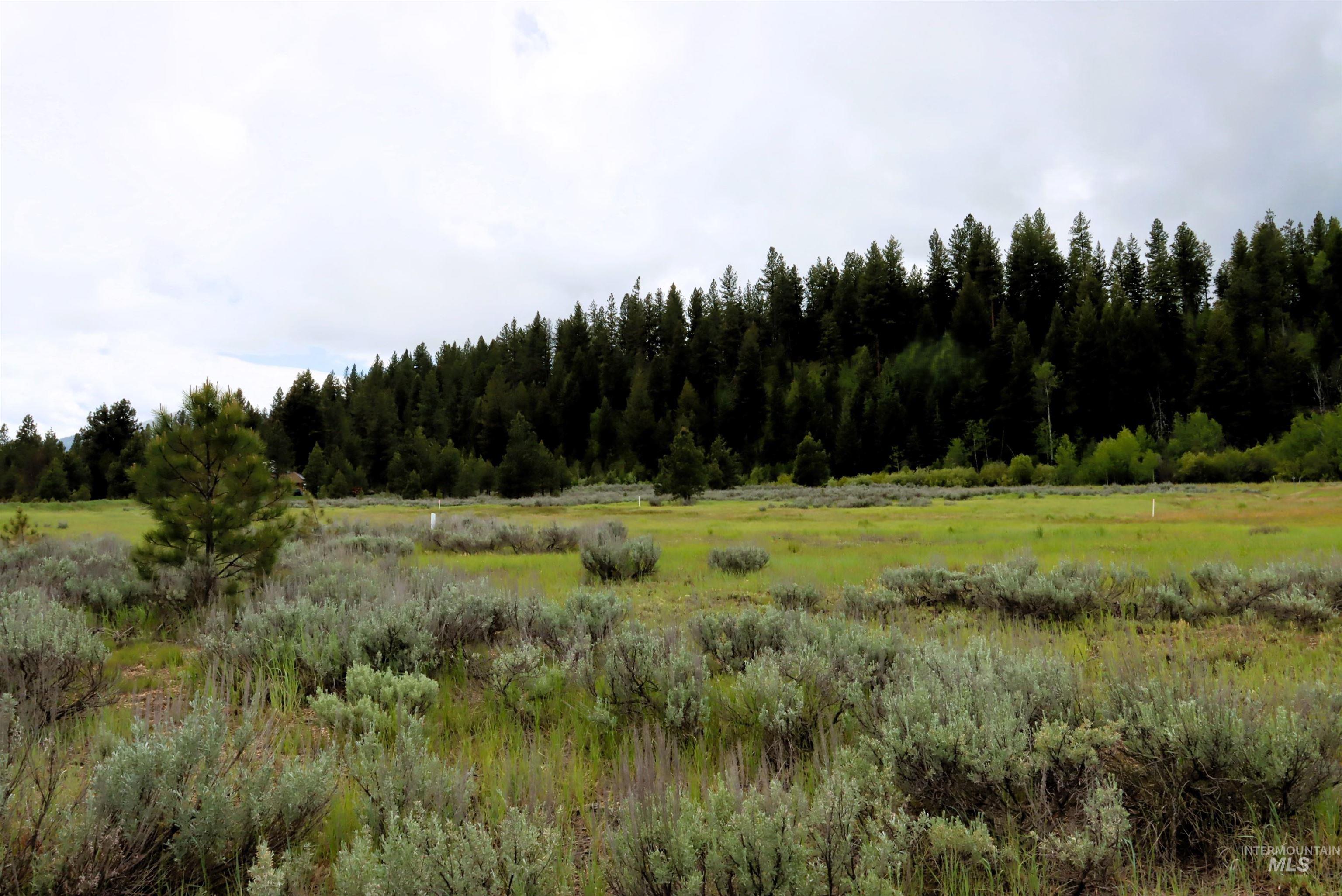 000 Targhee Ct, McCall, Idaho 83638, Land For Sale, Price $198,500,MLS 98990144