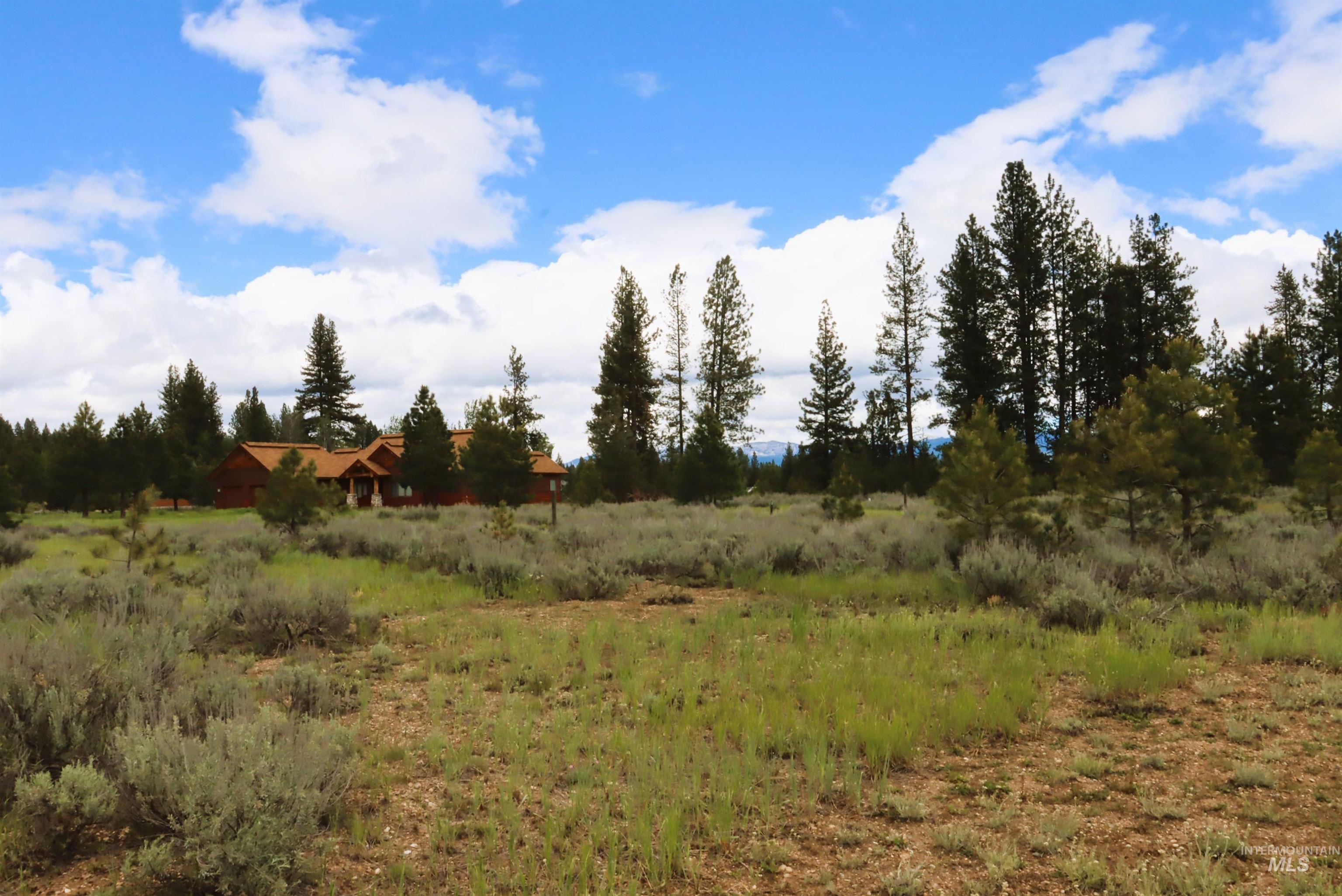 000 Targhee Ct, McCall, Idaho 83638, Land For Sale, Price $198,500,MLS 98990144