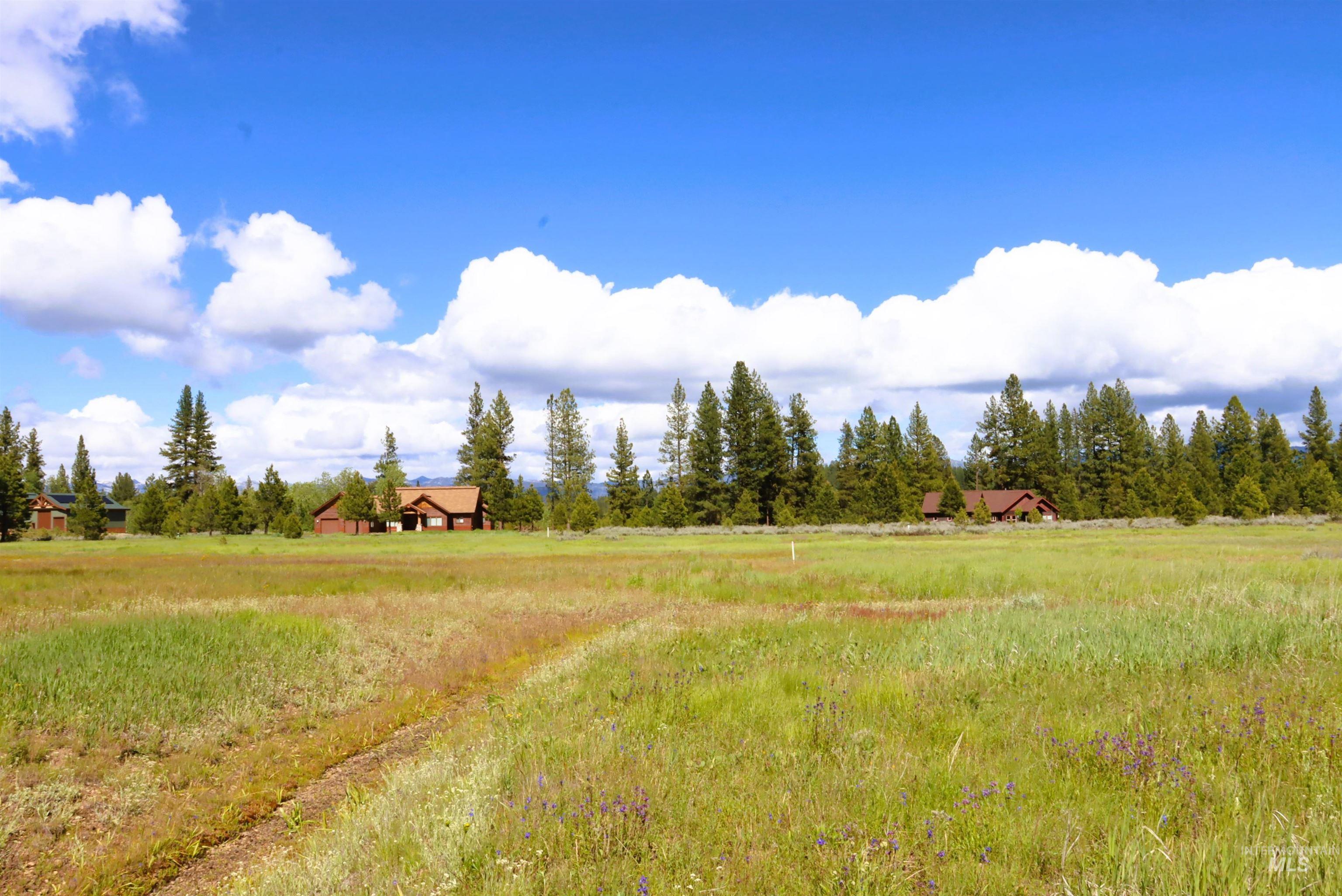 000 Targhee Ct, McCall, Idaho 83638, Land For Sale, Price $198,500,MLS 98990144