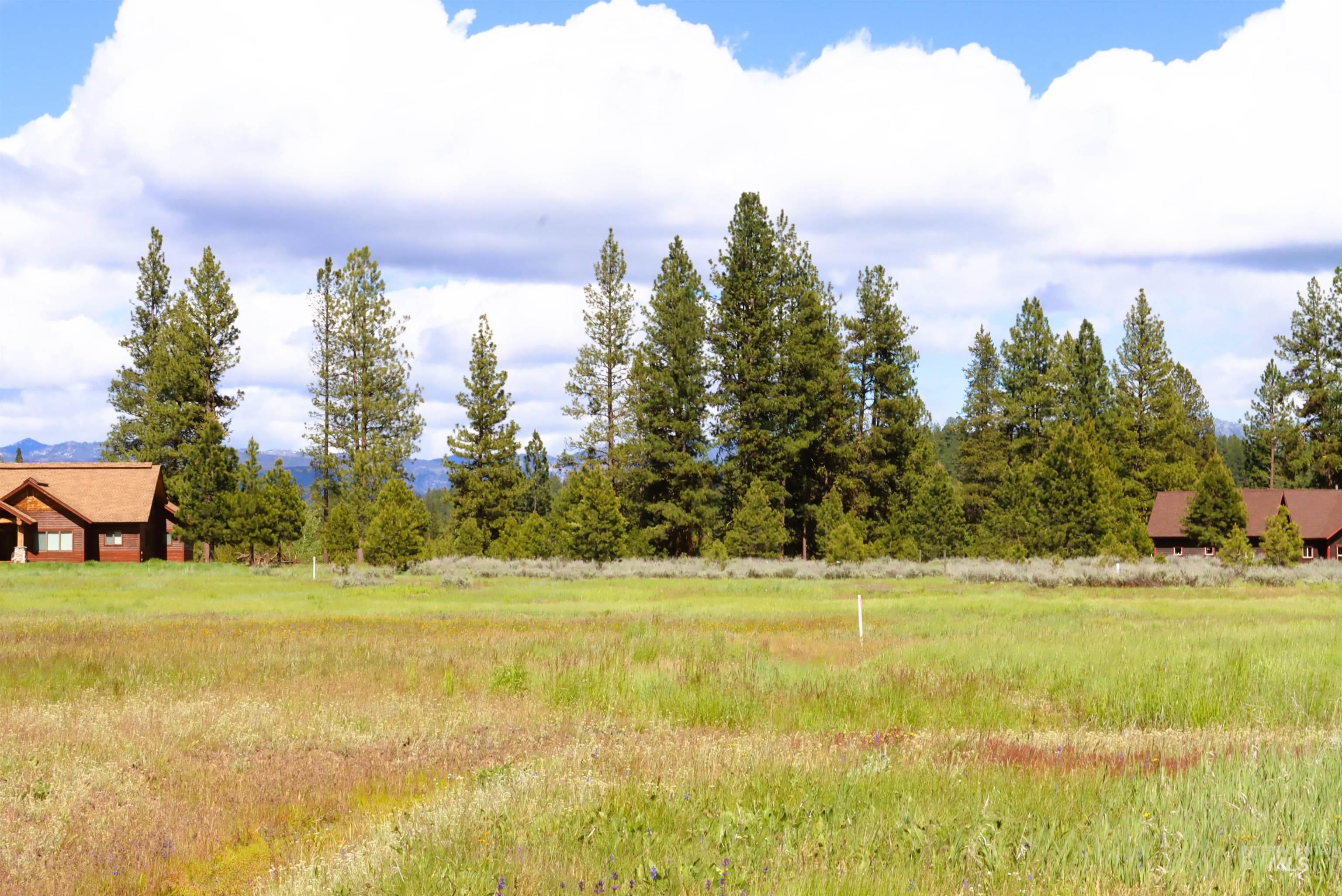 000 Targhee Ct, McCall, Idaho 83638, Land For Sale, Price $198,500,MLS 98990144