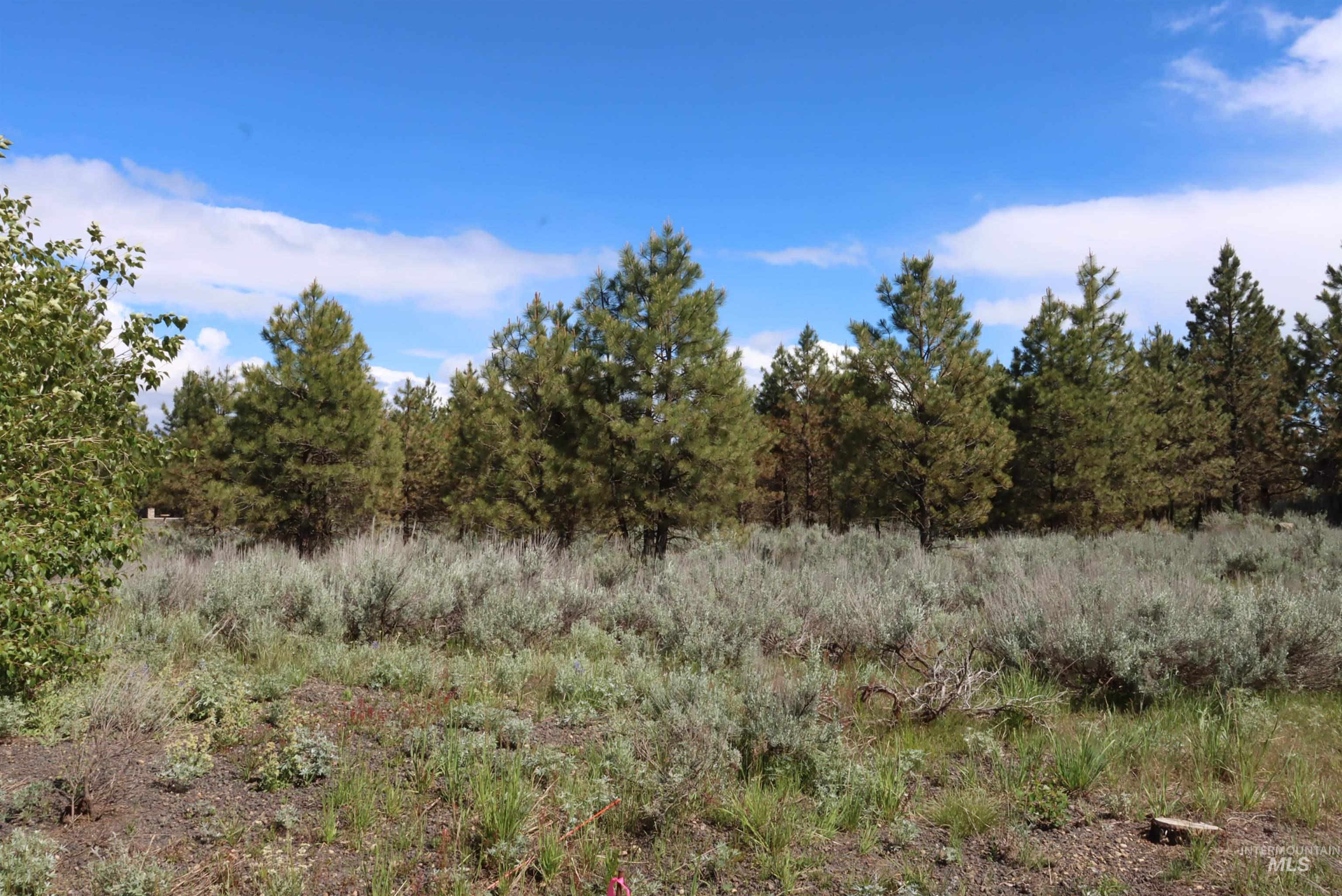 7 Bitterroot Ct, McCall, Idaho 83638, Land For Sale, Price $249,500,MLS 98990179