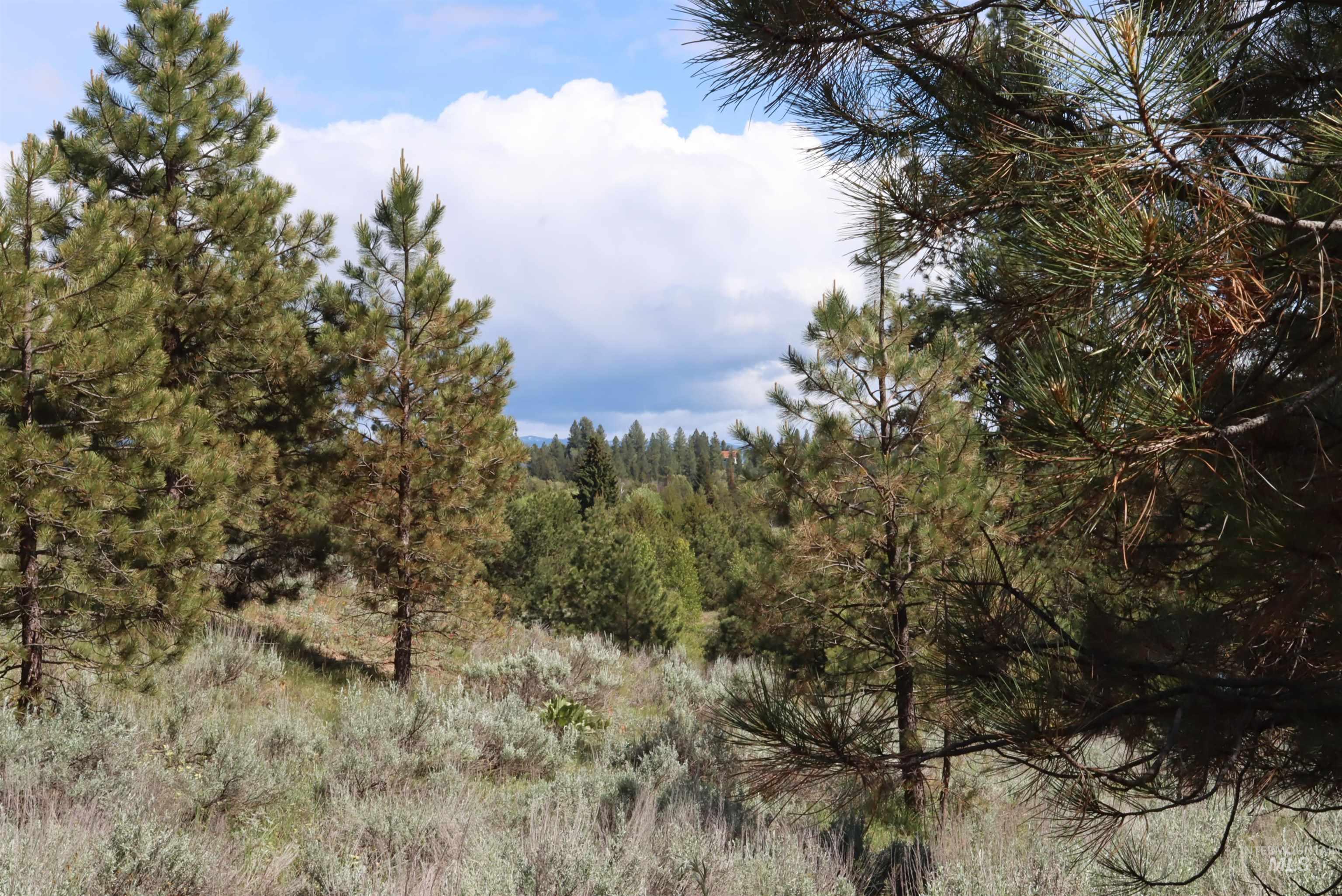 7 Bitterroot Ct, McCall, Idaho 83638, Land For Sale, Price $249,500,MLS 98990179