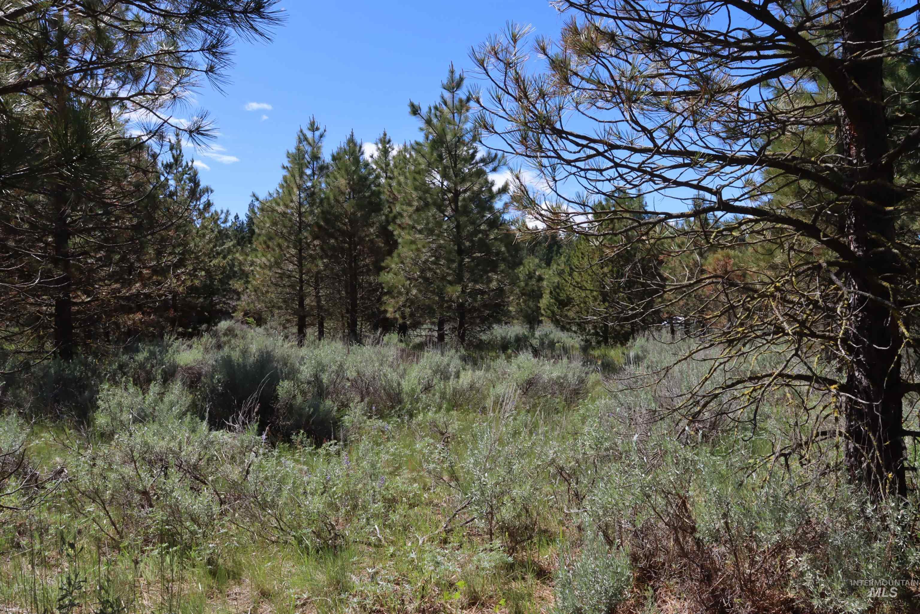 7 Bitterroot Ct, McCall, Idaho 83638, Land For Sale, Price $249,500,MLS 98990179