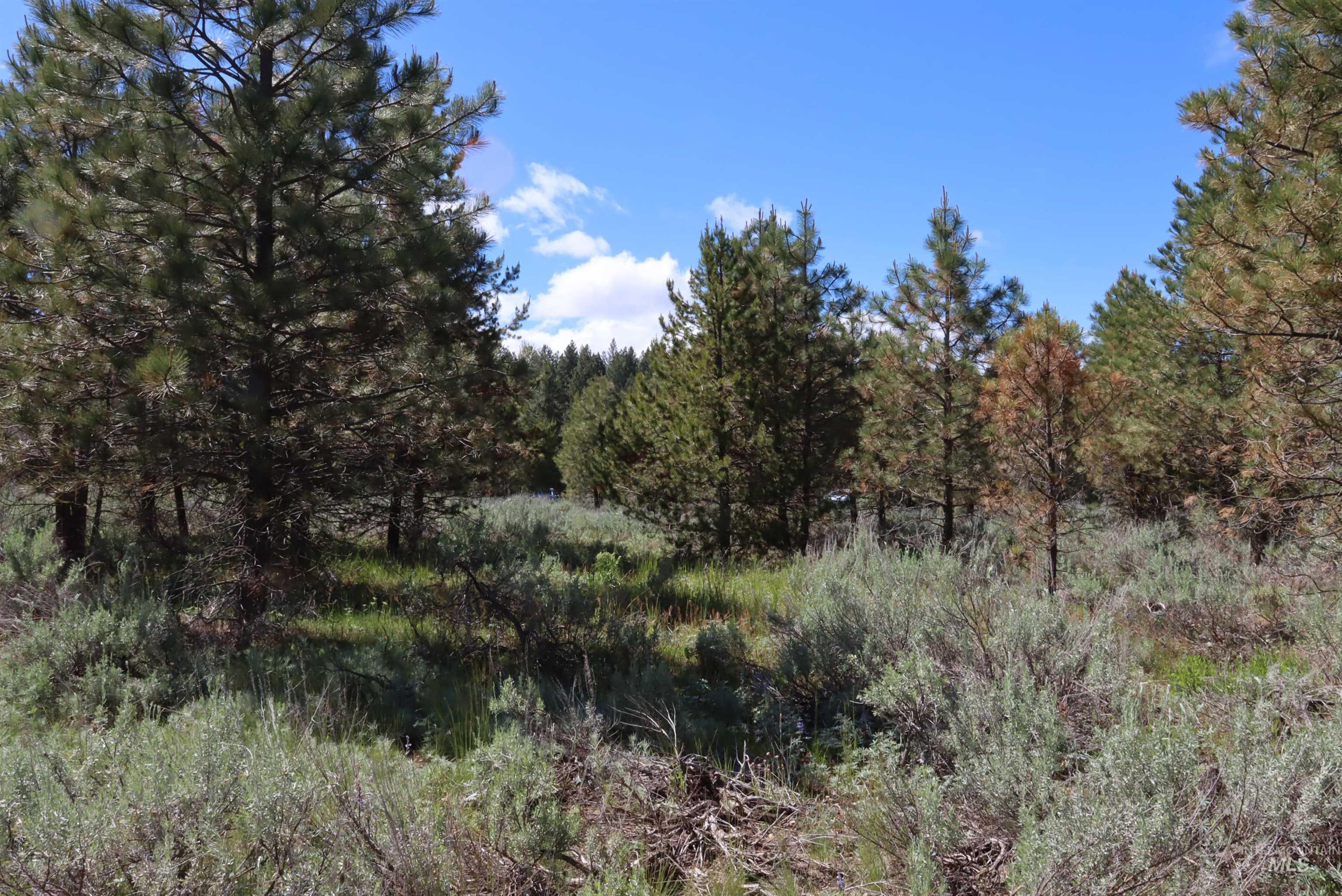 7 Bitterroot Ct, McCall, Idaho 83638, Land For Sale, Price $249,500,MLS 98990179