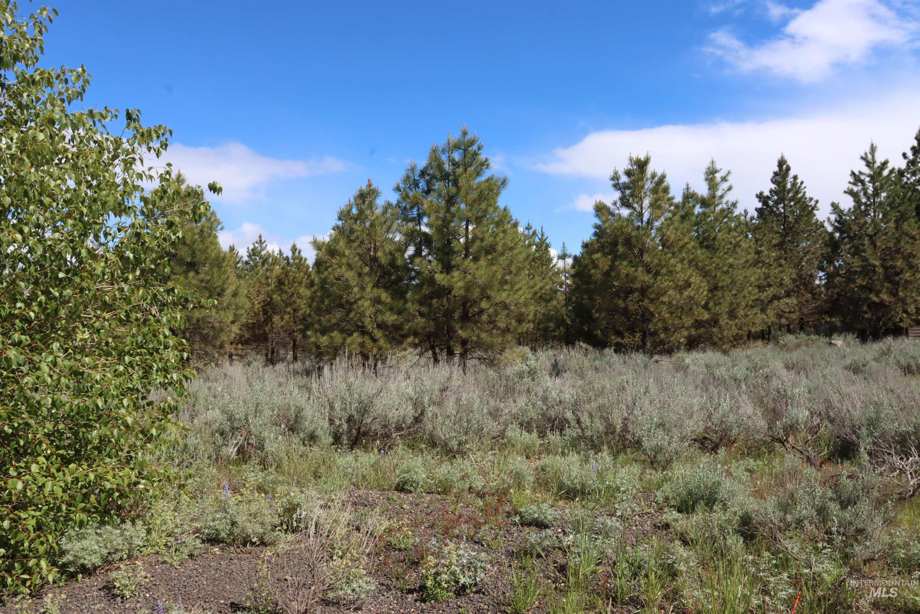 7 Bitterroot Ct, McCall, Idaho 83638, Land For Sale, Price $249,500,MLS 98990179
