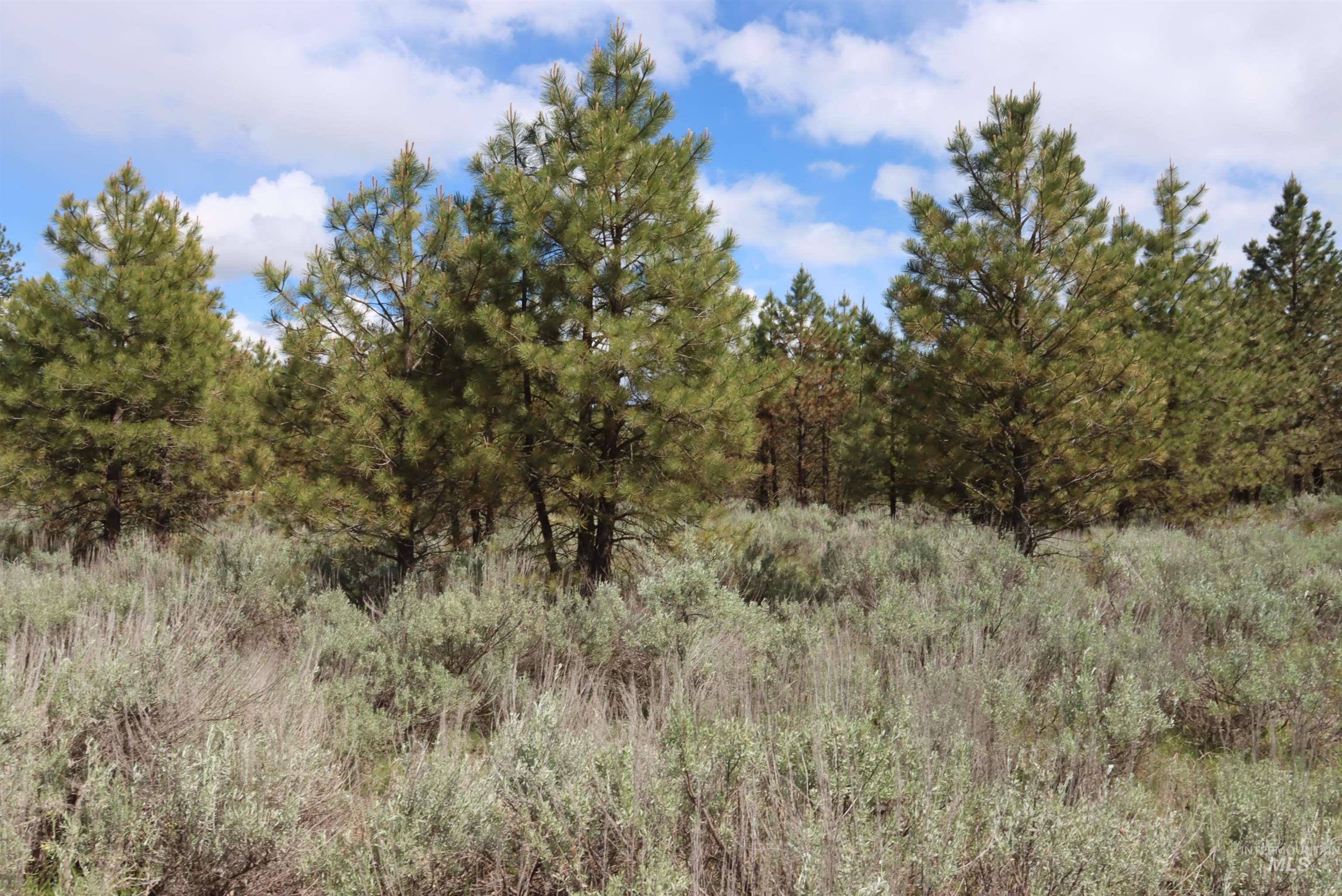 7 Bitterroot Ct, McCall, Idaho 83638, Land For Sale, Price $249,500,MLS 98990179