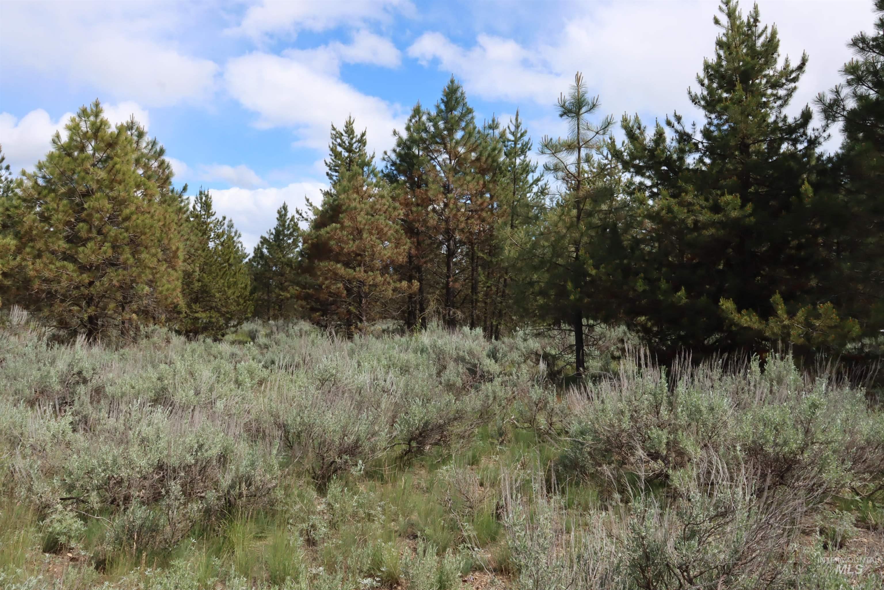 7 Bitterroot Ct, McCall, Idaho 83638, Land For Sale, Price $249,500,MLS 98990179