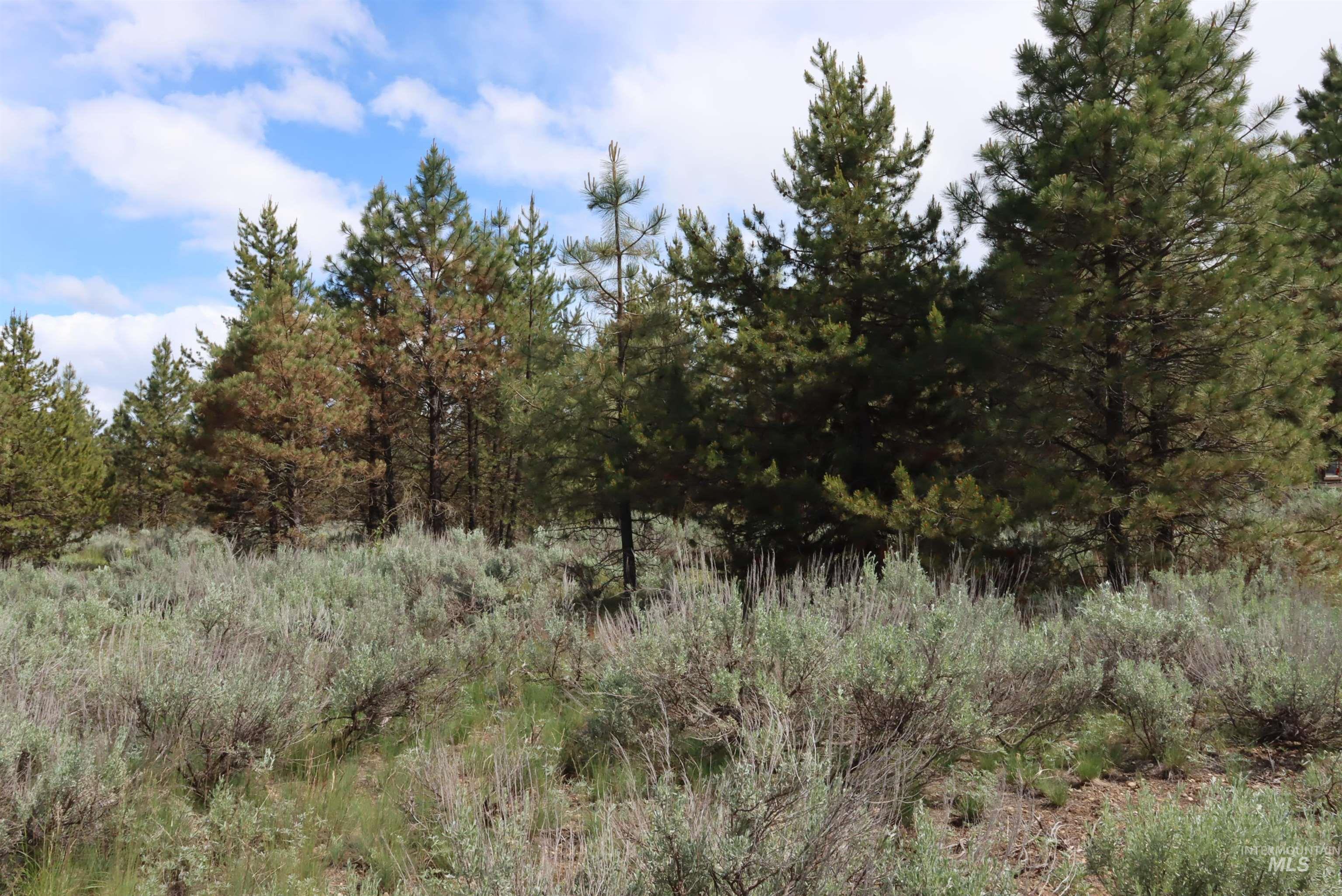 7 Bitterroot Ct, McCall, Idaho 83638, Land For Sale, Price $249,500,MLS 98990179