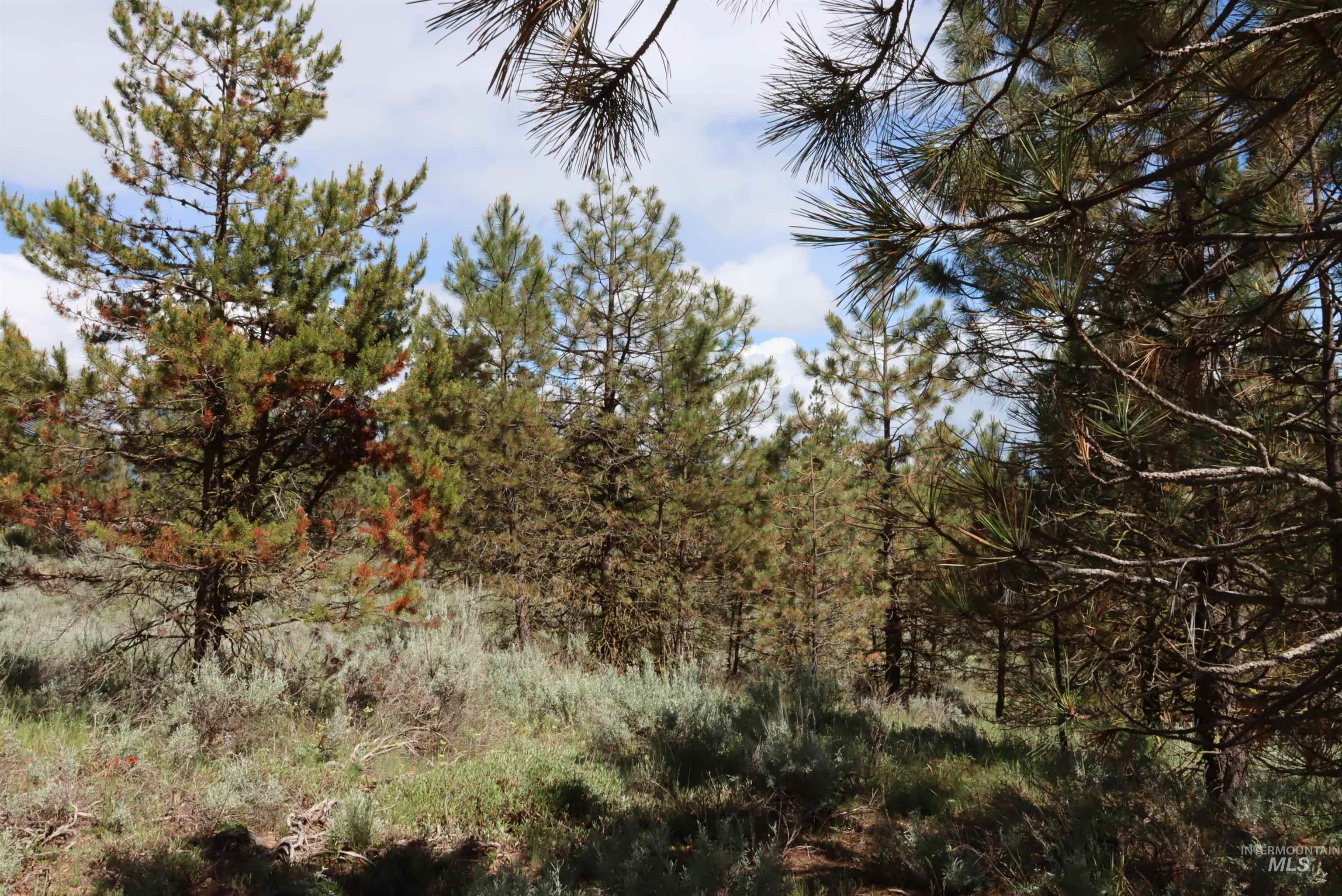 7 Bitterroot Ct, McCall, Idaho 83638, Land For Sale, Price $249,500,MLS 98990179