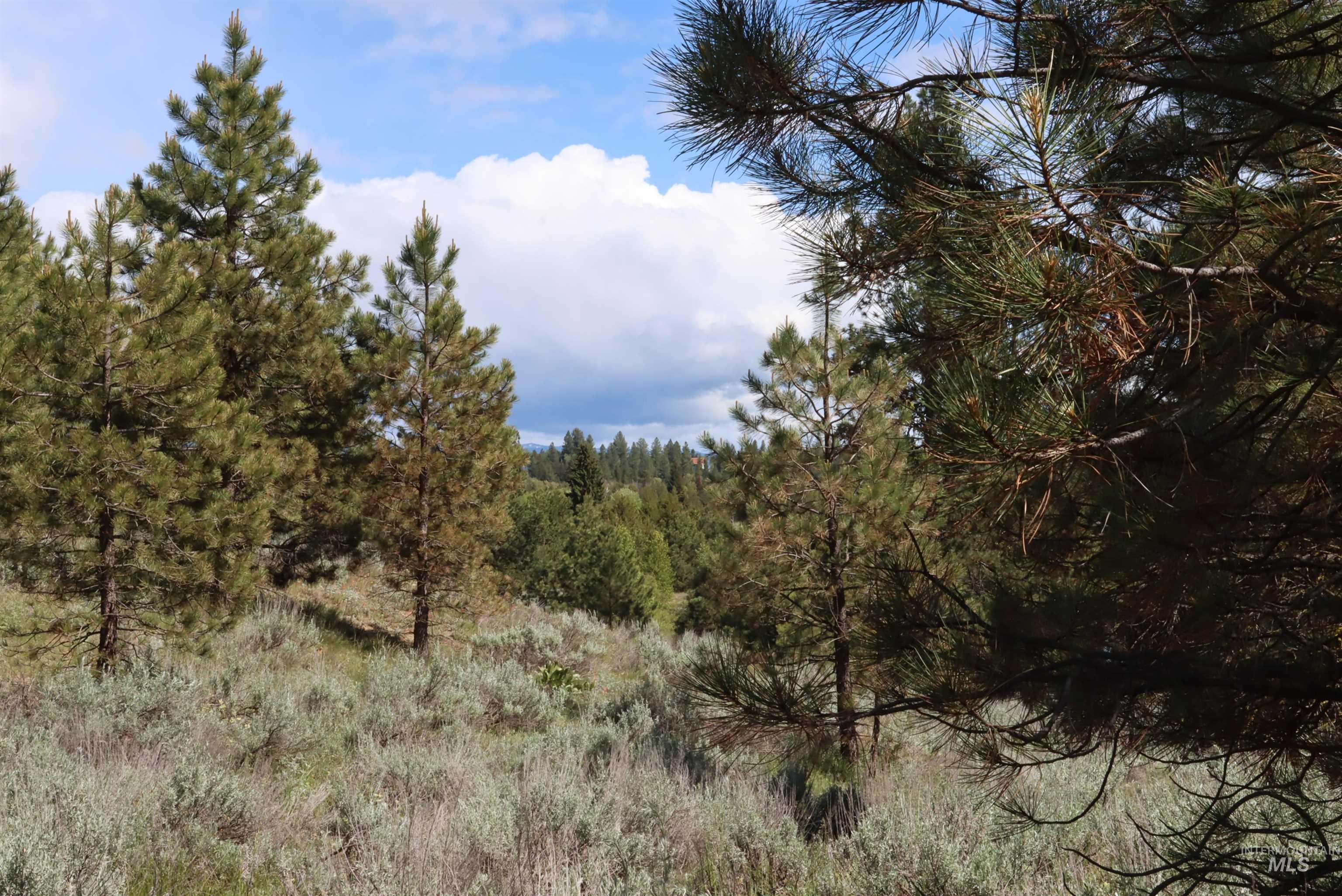 7 Bitterroot Ct, McCall, Idaho 83638, Land For Sale, Price $249,500,MLS 98990179