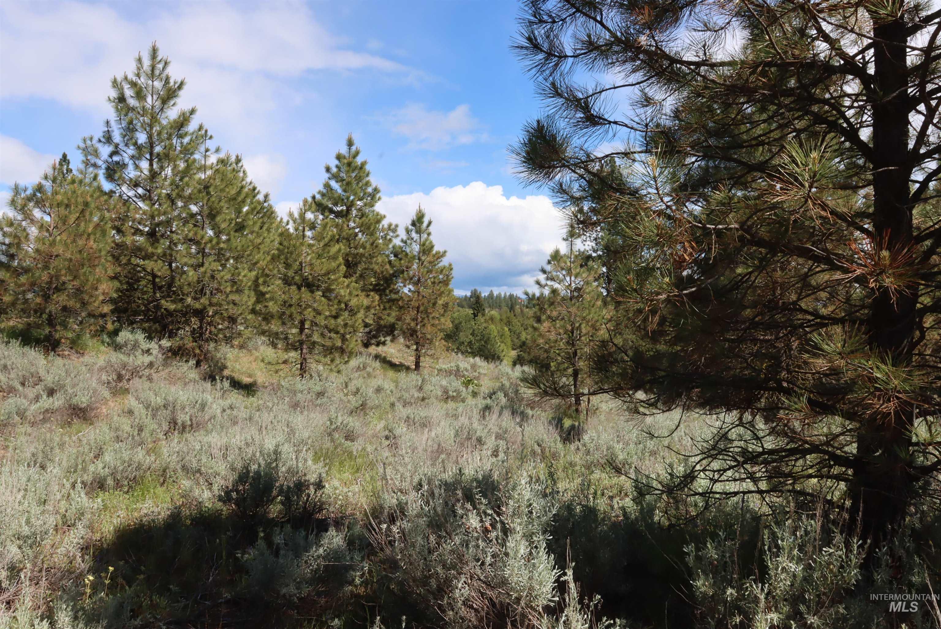 7 Bitterroot Ct, McCall, Idaho 83638, Land For Sale, Price $249,500,MLS 98990179