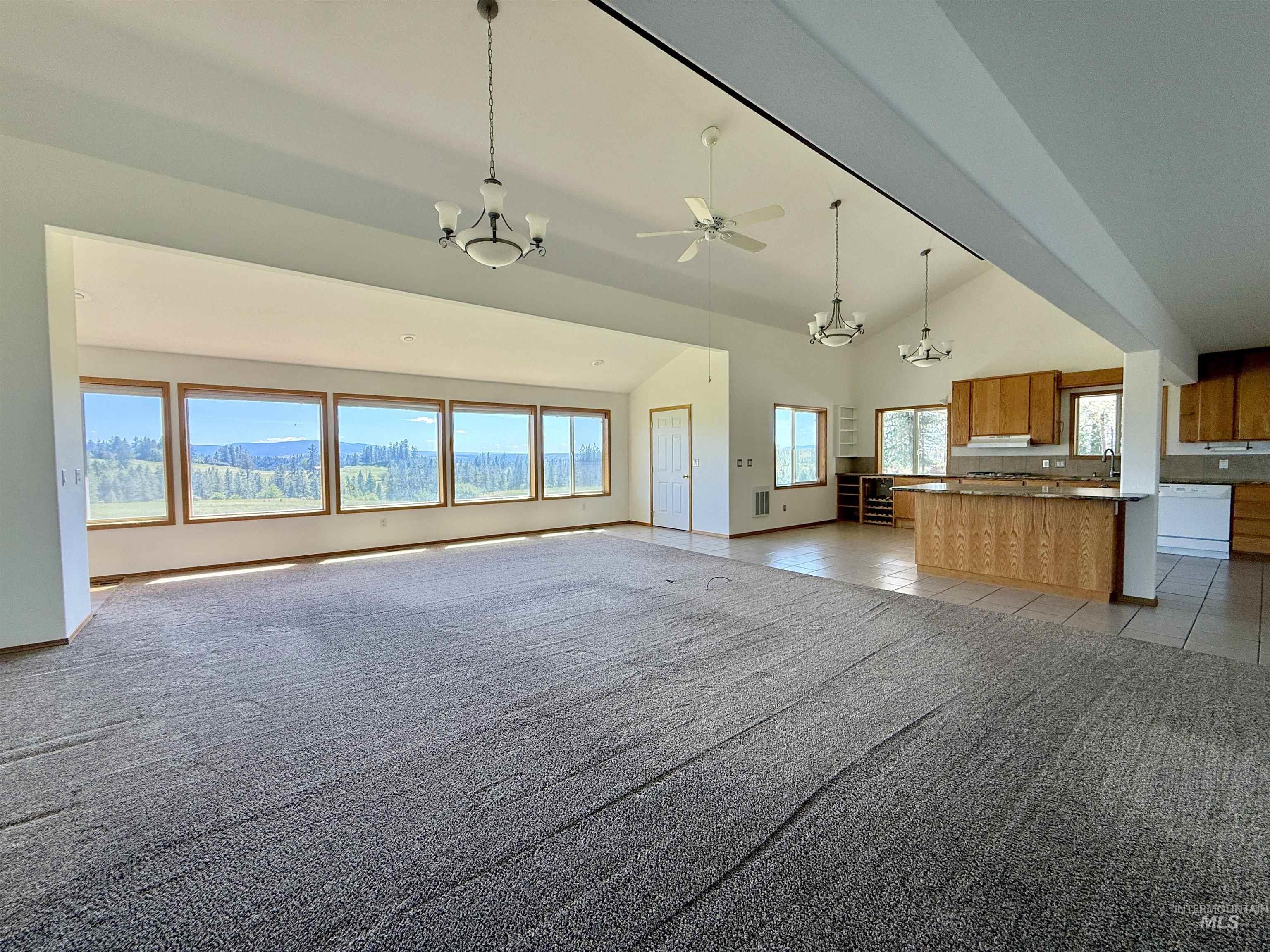 168 Williams Rd., Kooskia, Idaho 83539, 3 Bedrooms, 2 Bathrooms, Residential For Sale, Price $569,000,MLS 98990186