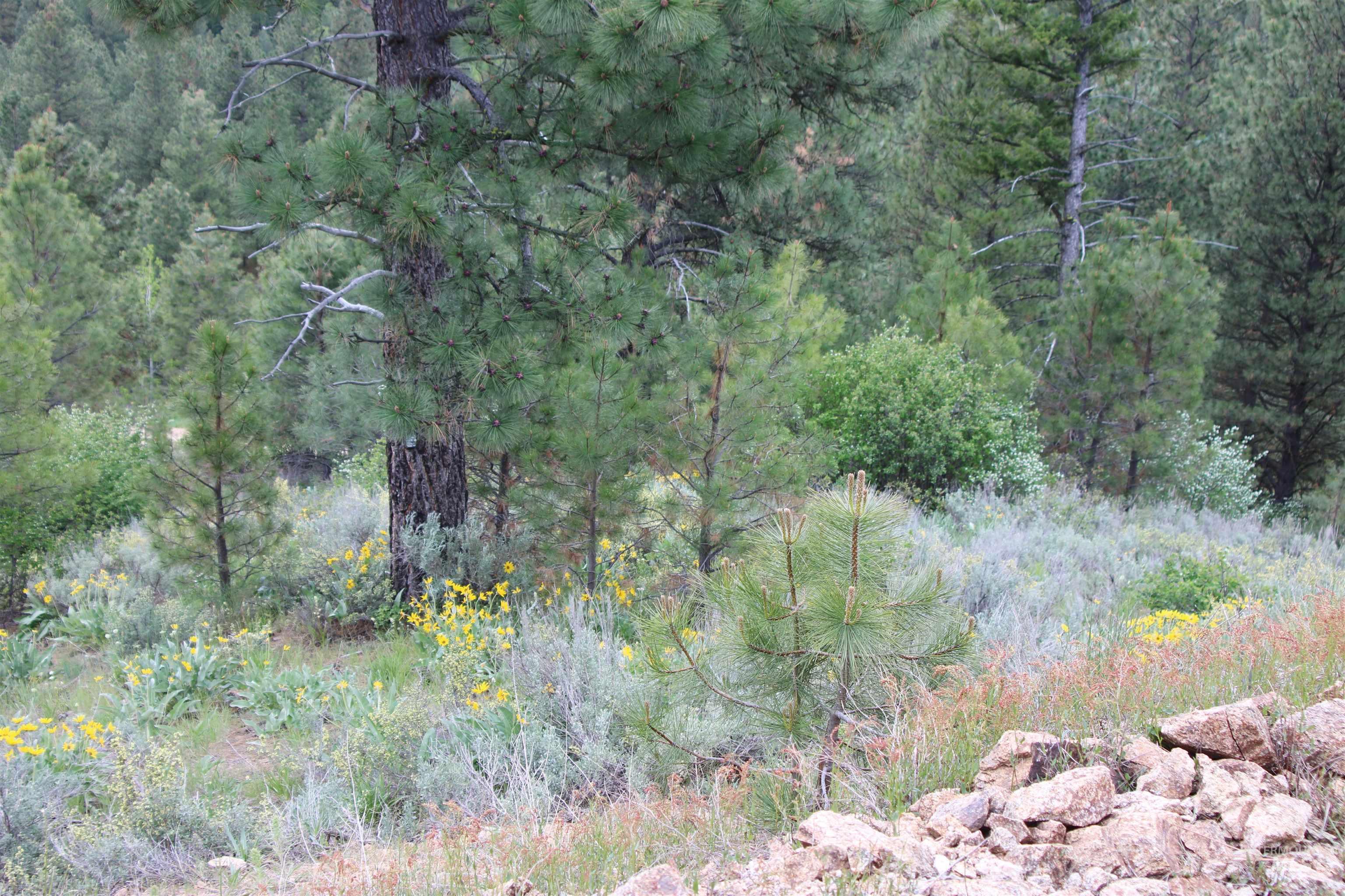 TBD Strawberry Loop, Prairie, Idaho 83647, Residential For Sale, Price $195,500,MLS 98990192