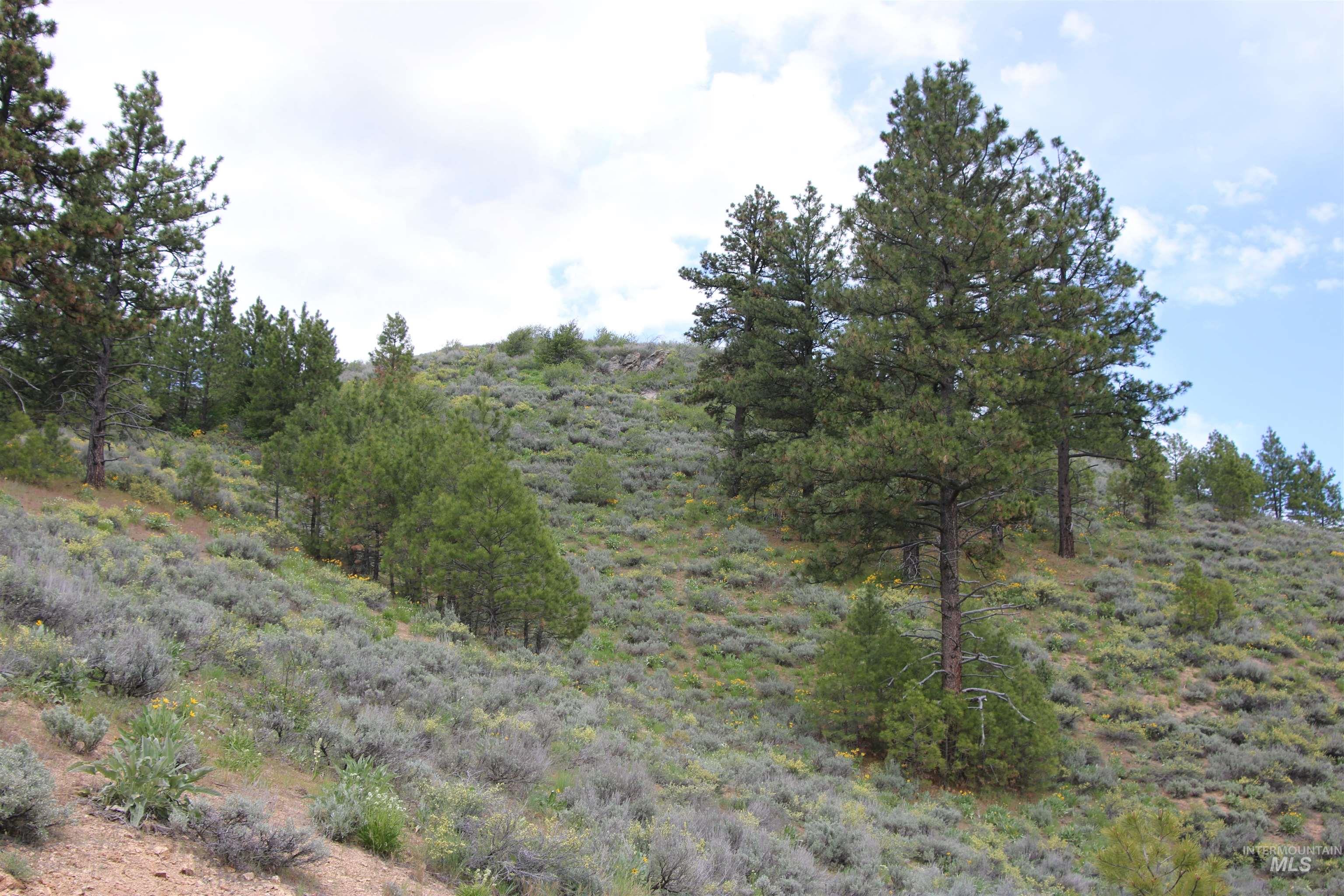 TBD Strawberry Loop, Prairie, Idaho 83647, Residential For Sale, Price $195,500,MLS 98990192