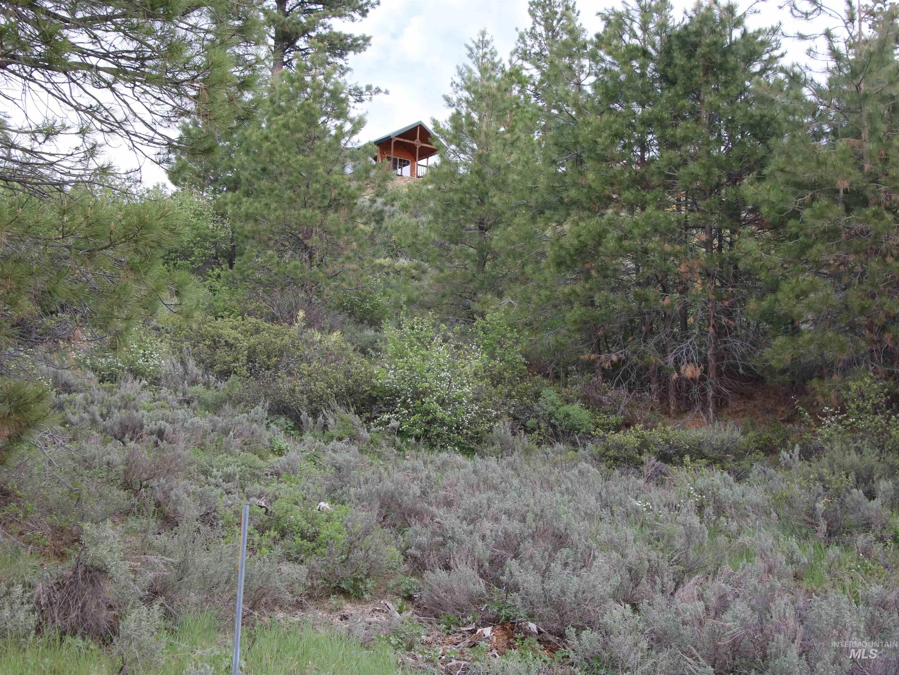 TBD Strawberry Loop, Prairie, Idaho 83647, Residential For Sale, Price $195,500,MLS 98990192