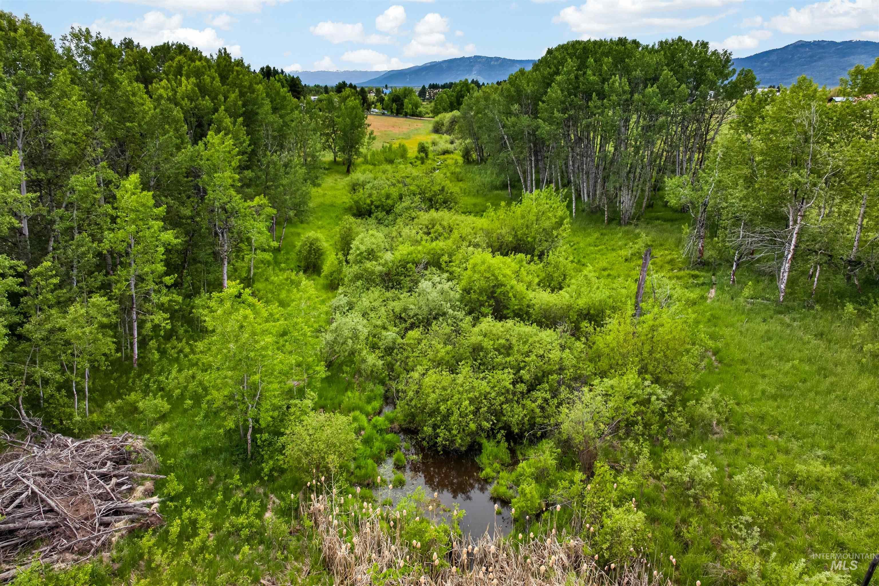13911 Sky View Ct, McCall, Idaho 83638, 2 Bedrooms, 2 Bathrooms, Residential For Sale, Price $885,000,MLS 98990254