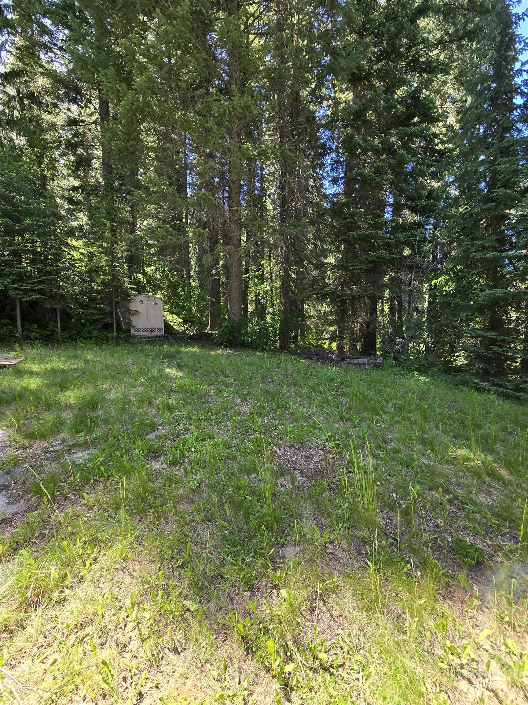 5 Black Bear, Cascade, Idaho 83611, Land For Sale, Price $15,000,MLS 98990270