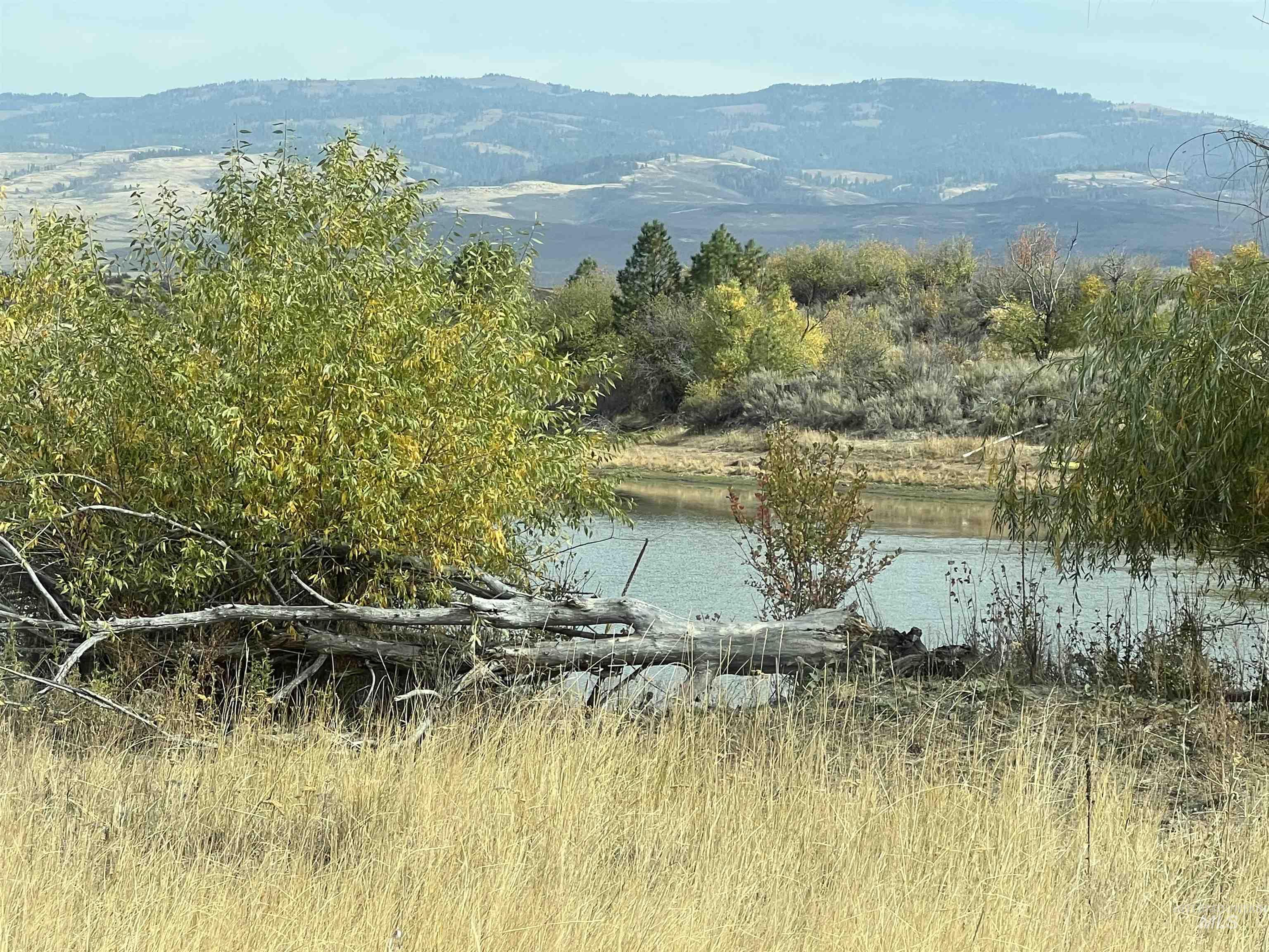 2216 Ben Ross, Indian Valley, Idaho 83632, 4 Bedrooms, 2 Bathrooms, Residential For Sale, Price $1,640,000, 98990279