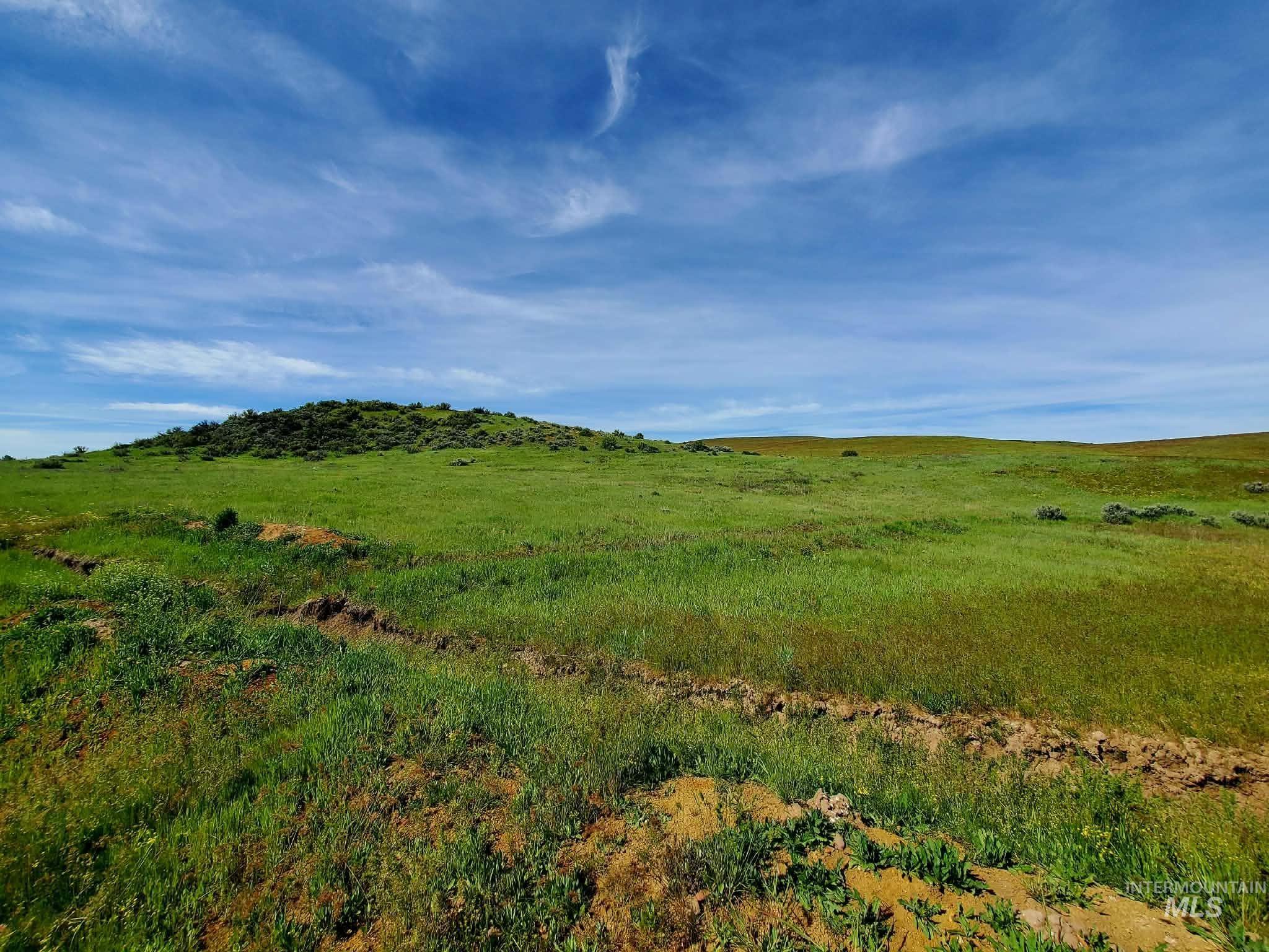 2216 Ben Ross, Indian Valley, Idaho 83632, 4 Bedrooms, 2 Bathrooms, Residential For Sale, Price $1,640,000, 98990279