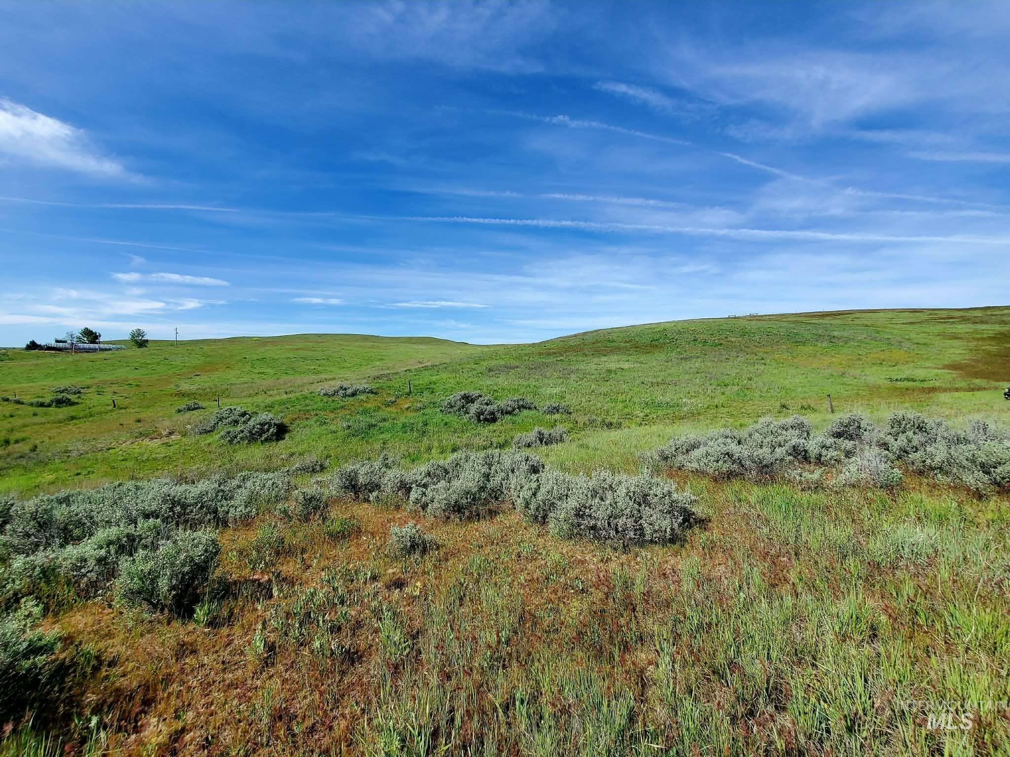 2216 Ben Ross, Indian Valley, Idaho 83632, 4 Bedrooms, 2 Bathrooms, Residential For Sale, Price $1,640,000, 98990279