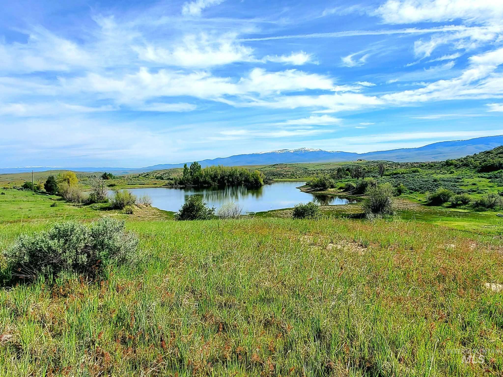 2216 Ben Ross, Indian Valley, Idaho 83632, 4 Bedrooms, 2 Bathrooms, Residential For Sale, Price $1,640,000, 98990279