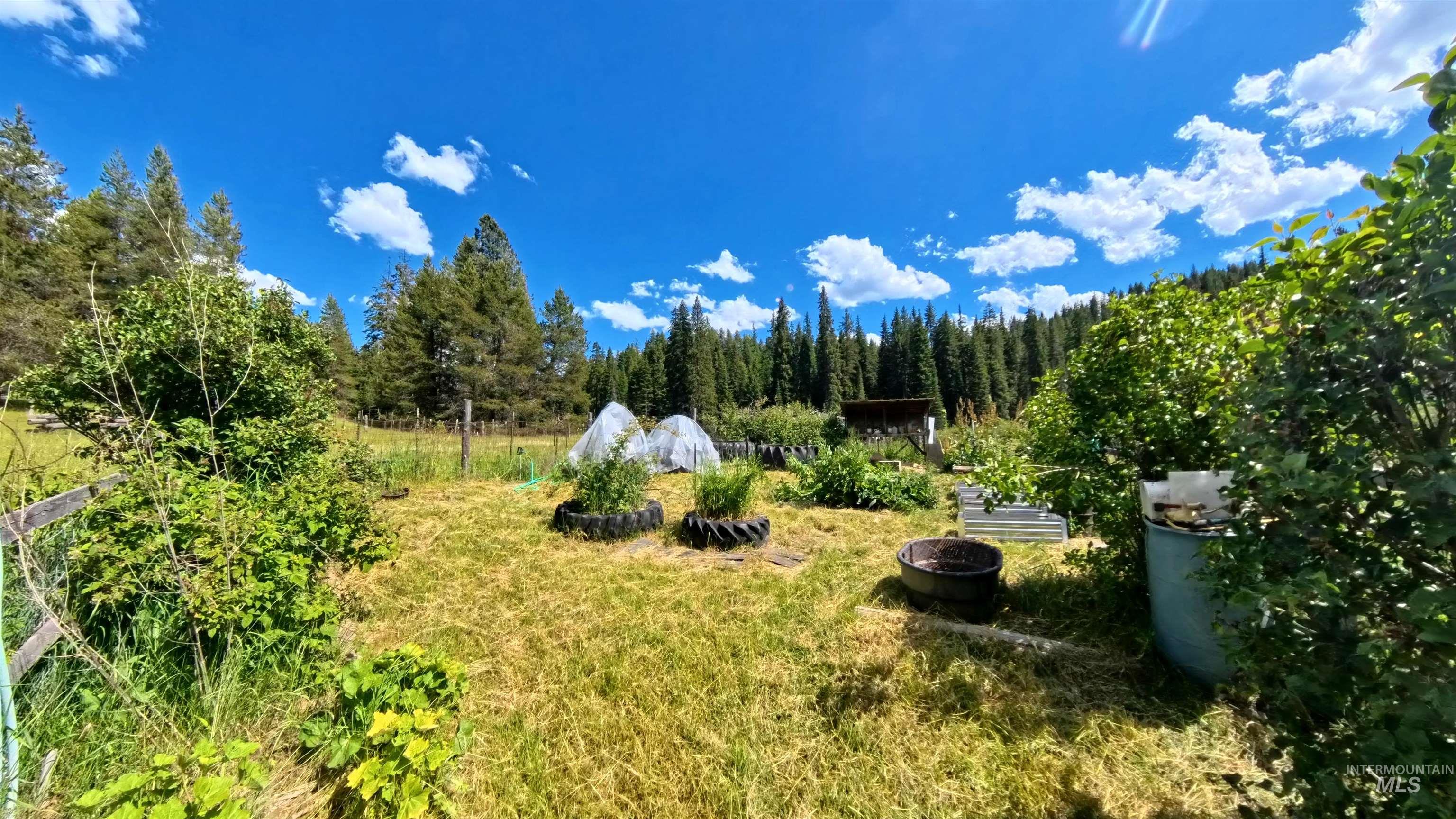 1401 Forks Rd, Deary, Idaho 83823, 4 Bedrooms, 2 Bathrooms, Residential For Sale, Price $600,000,MLS 98990389