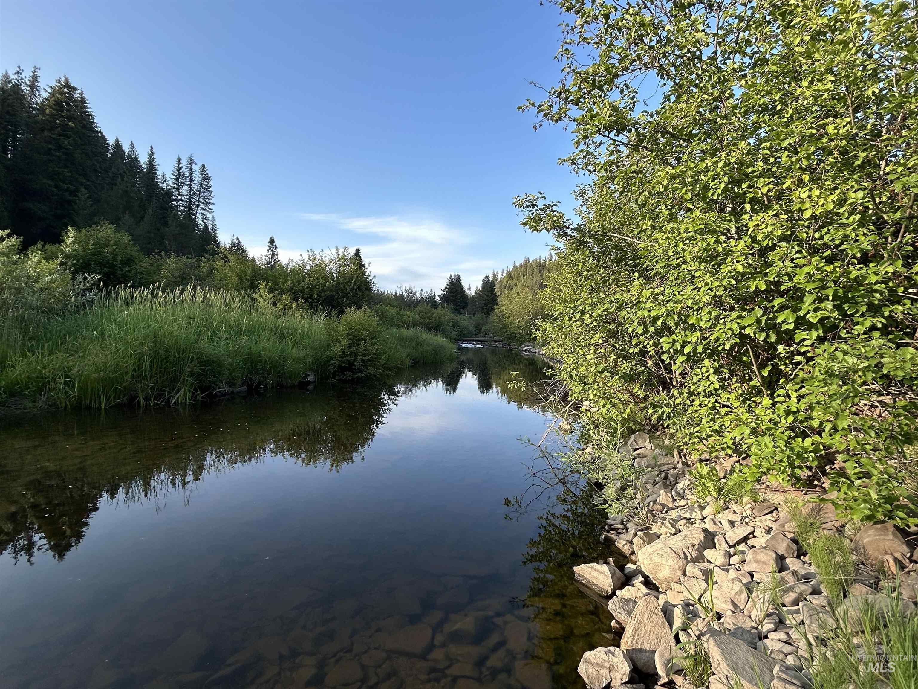 1401 Forks Rd, Deary, Idaho 83823, 4 Bedrooms, 2 Bathrooms, Residential For Sale, Price $600,000,MLS 98990389