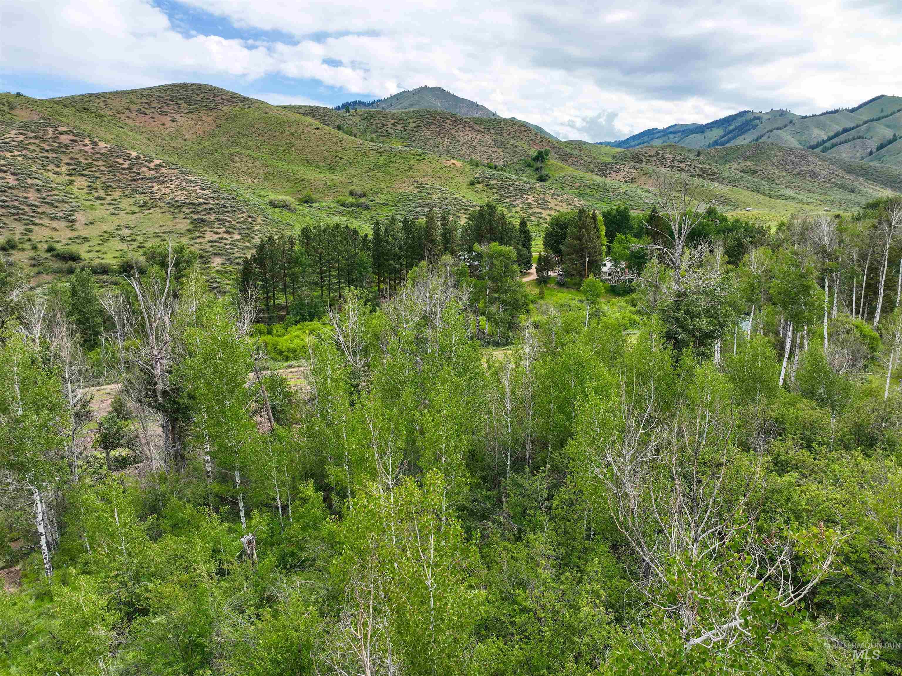 TBD S Pine Featherville Rd., Pine, Idaho 83647, Land For Sale, Price $895,000,MLS 98990420