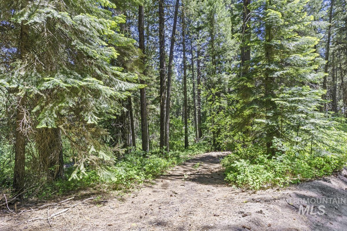 520 Susan Road, Cascade, Idaho 83611, Land For Sale, Price $89,000,MLS 98990439