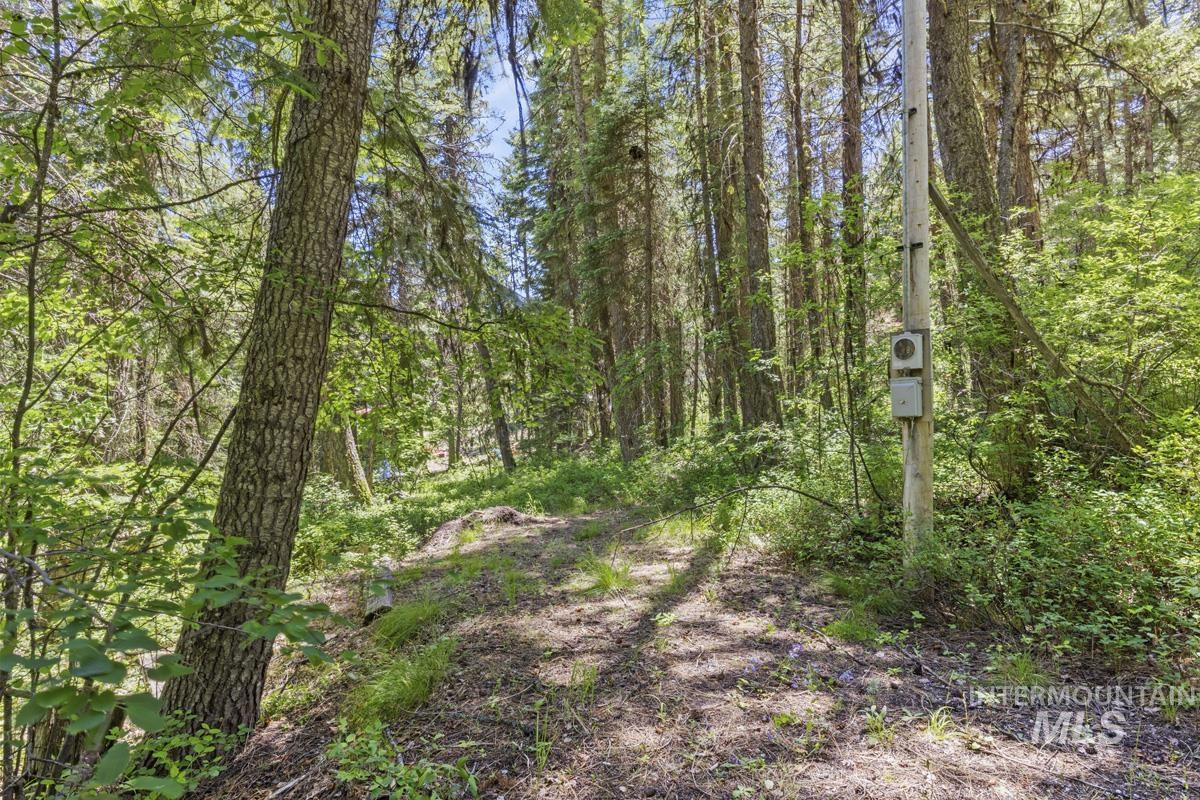 520 Susan Road, Cascade, Idaho 83611, Land For Sale, Price $89,000,MLS 98990439