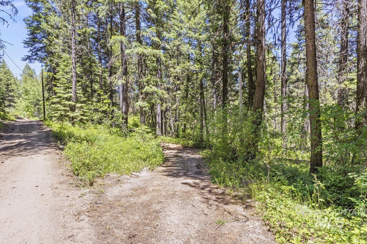 520 Susan Road, Cascade, Idaho 83611, Land For Sale, Price $89,000,MLS 98990439