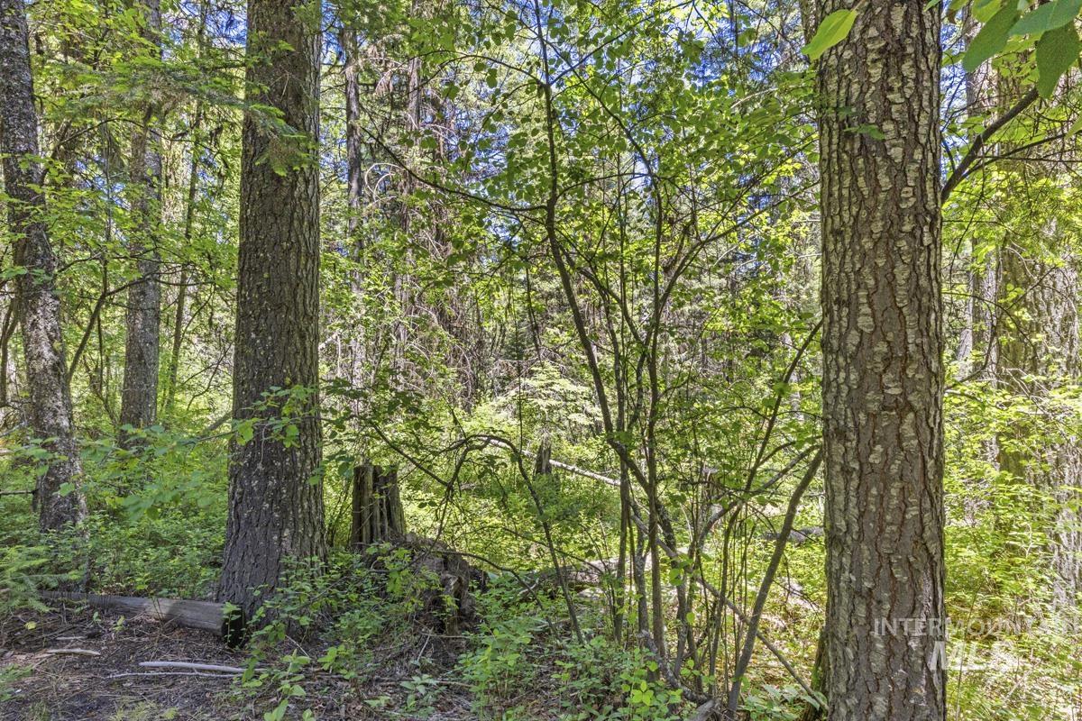 520 Susan Road, Cascade, Idaho 83611, Land For Sale, Price $89,000,MLS 98990439