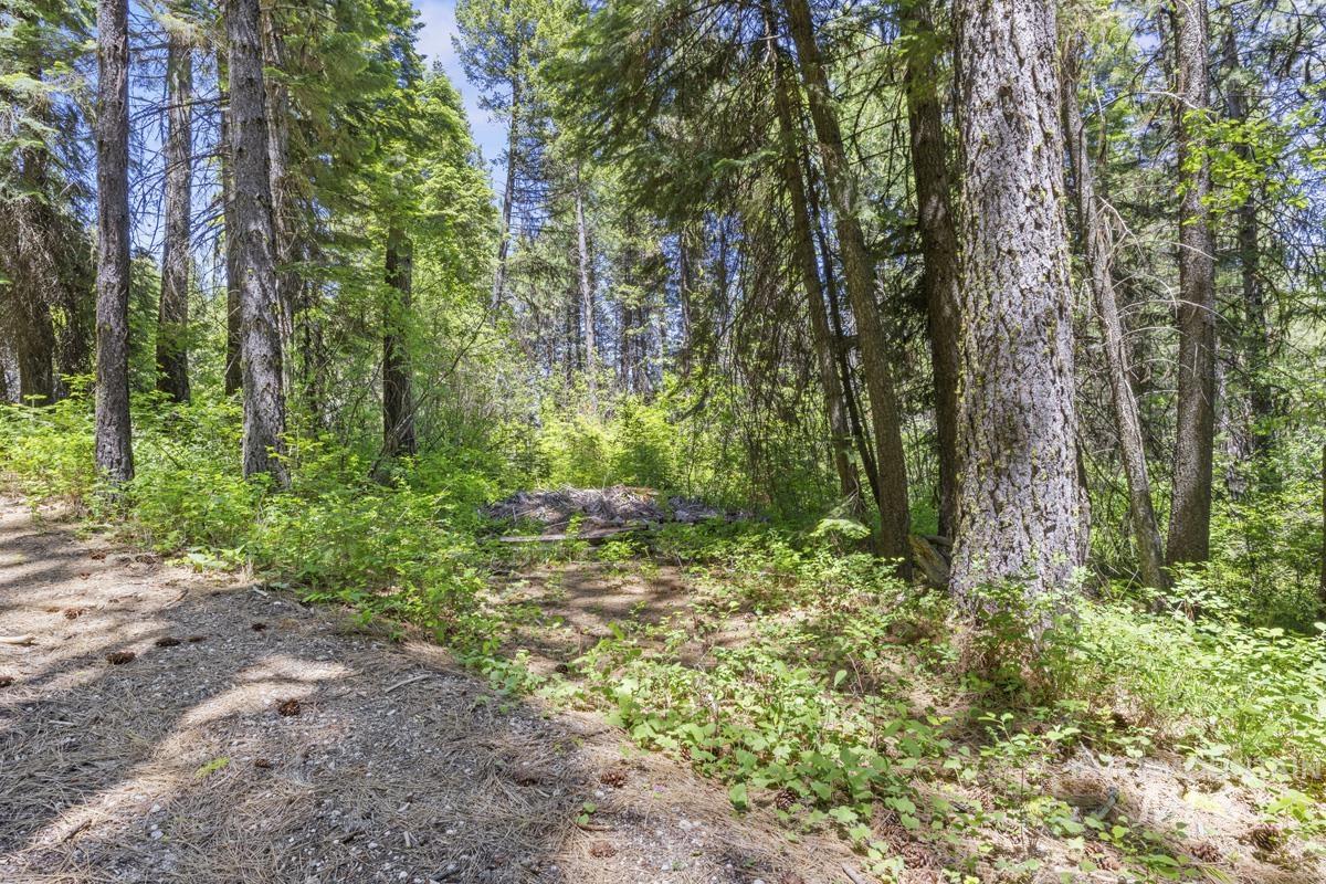 520 Susan Road, Cascade, Idaho 83611, Land For Sale, Price $89,000,MLS 98990439