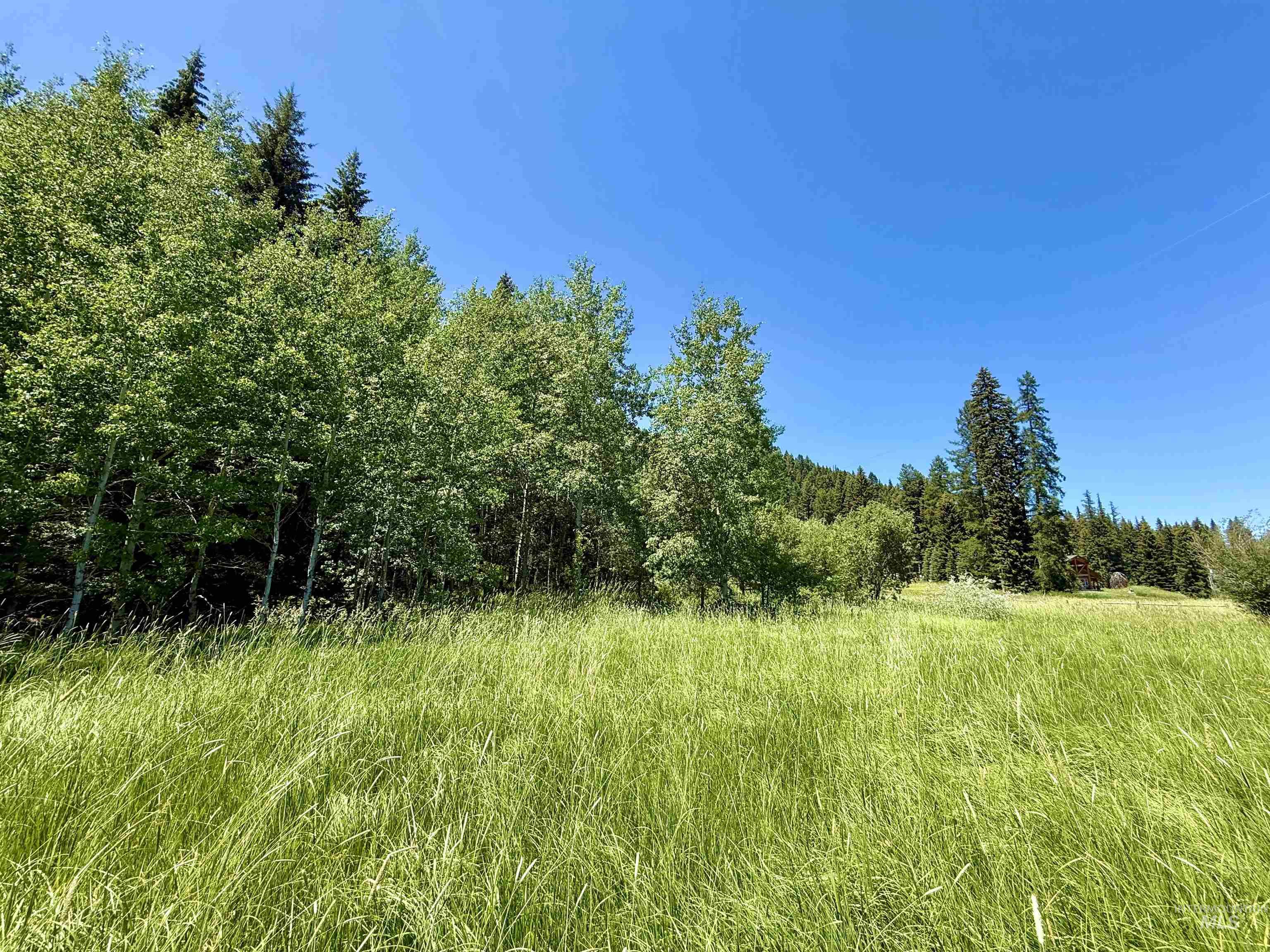 2267 West Mountain Road, Donnelly, Idaho 83615, Land For Sale, Price $359,000,MLS 98990454