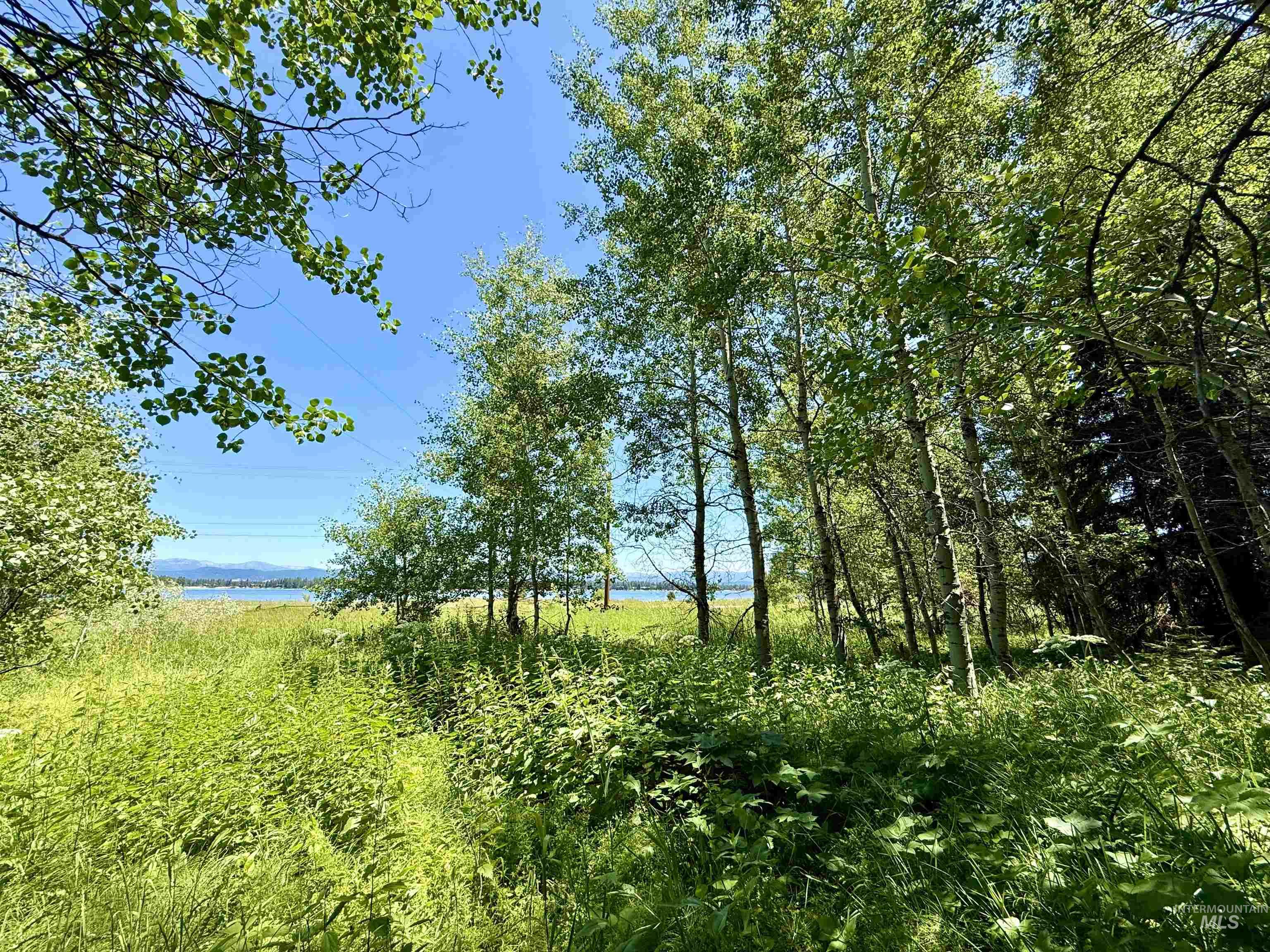2267 West Mountain Road, Donnelly, Idaho 83615, Land For Sale, Price $359,000,MLS 98990454