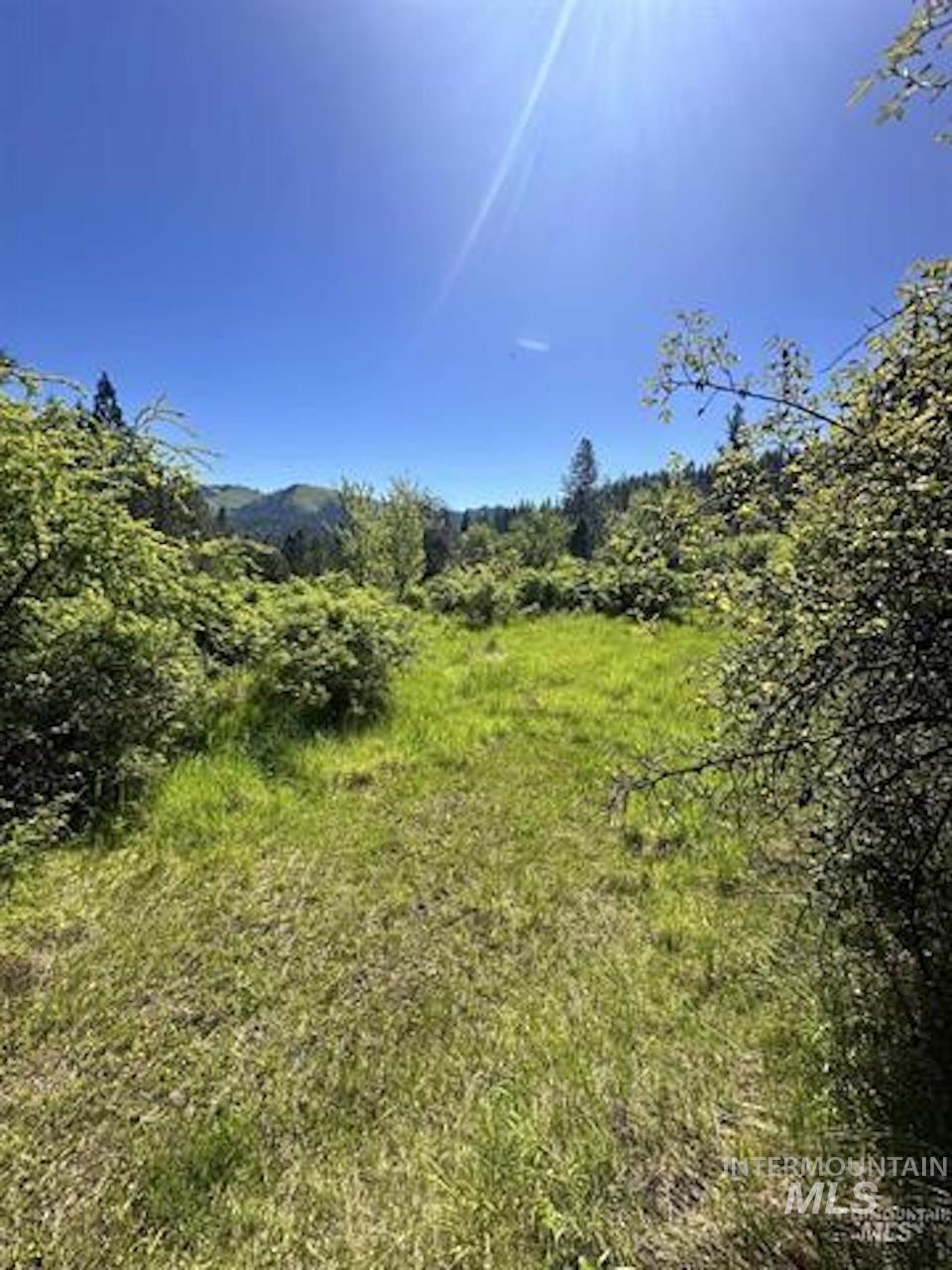 TBD River View Lane, Kamiah, Idaho 83536, Land For Sale, Price $129,000, 98990460
