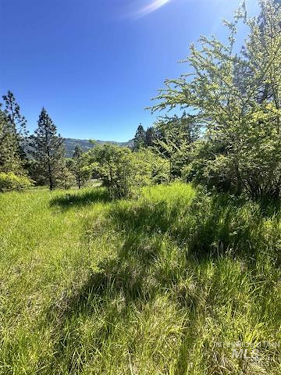 TBD River View Lane, Kamiah, Idaho 83536, Land For Sale, Price $129,000, 98990460